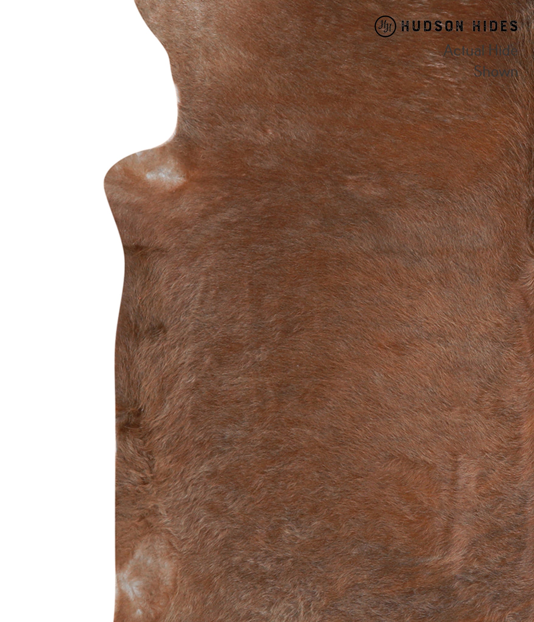 Caramel Cowhide Rug #A4823