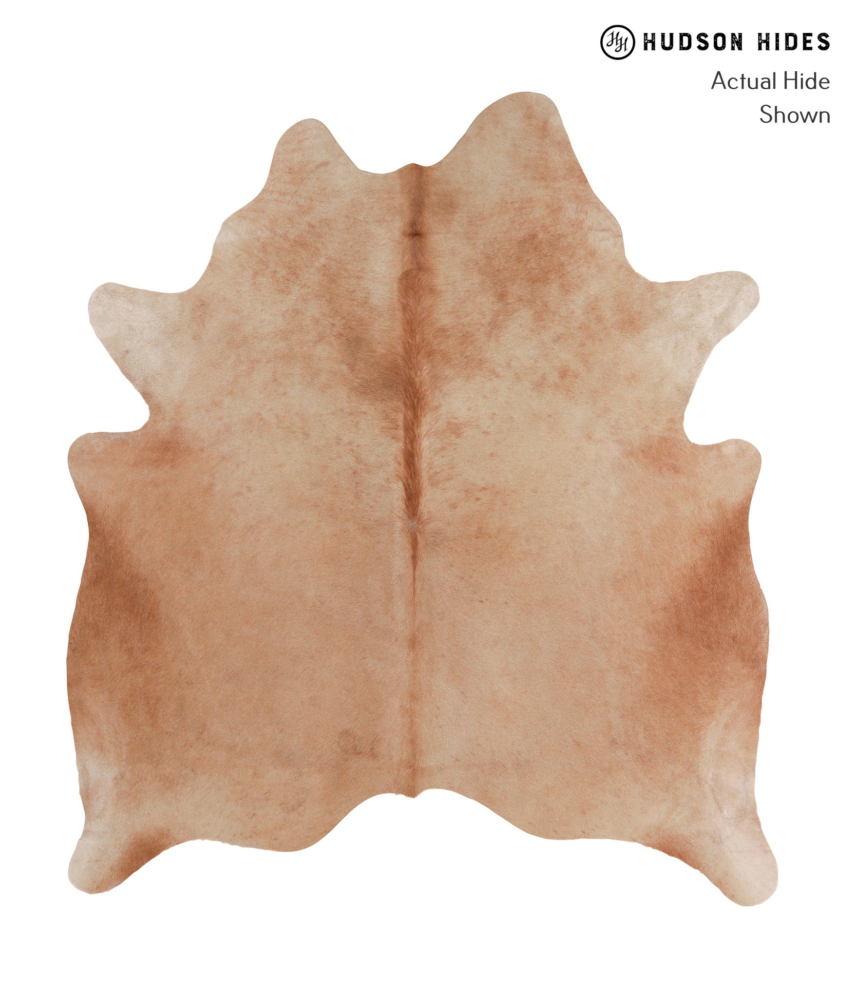 Solid Brown Cowhide Rug #A4826