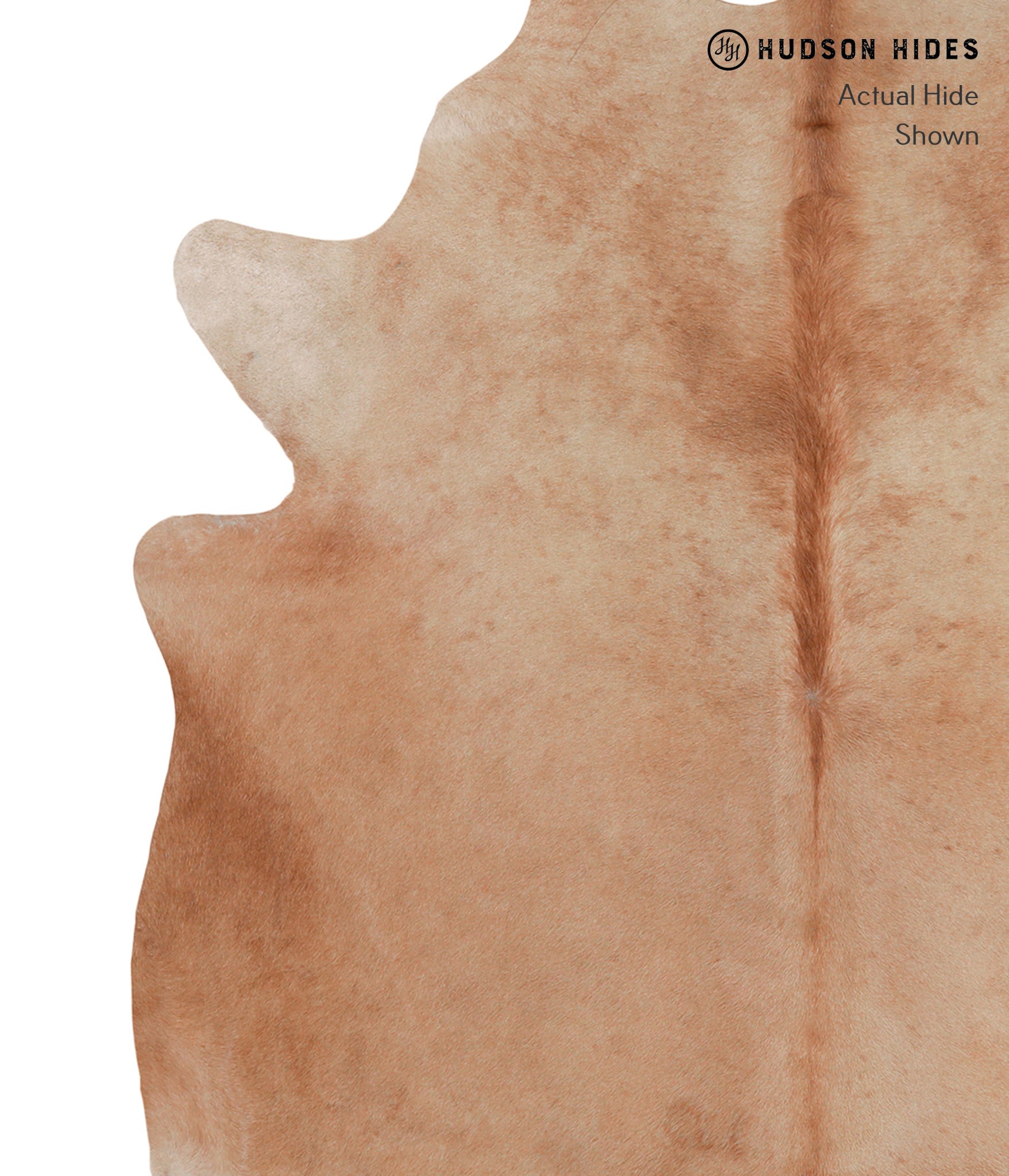 Solid Brown Cowhide Rug #A4826