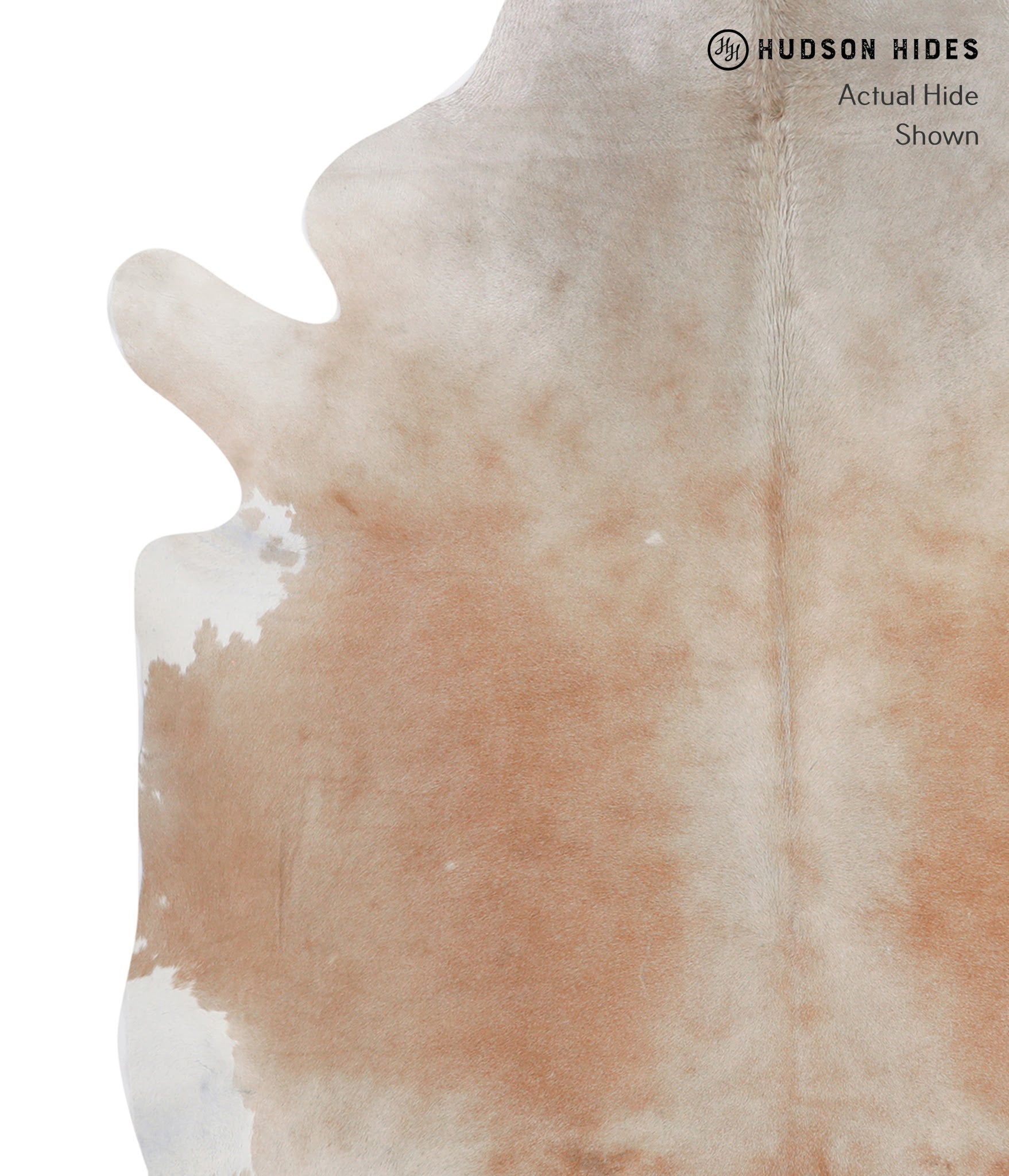 Caramel Cowhide Rug #A4850