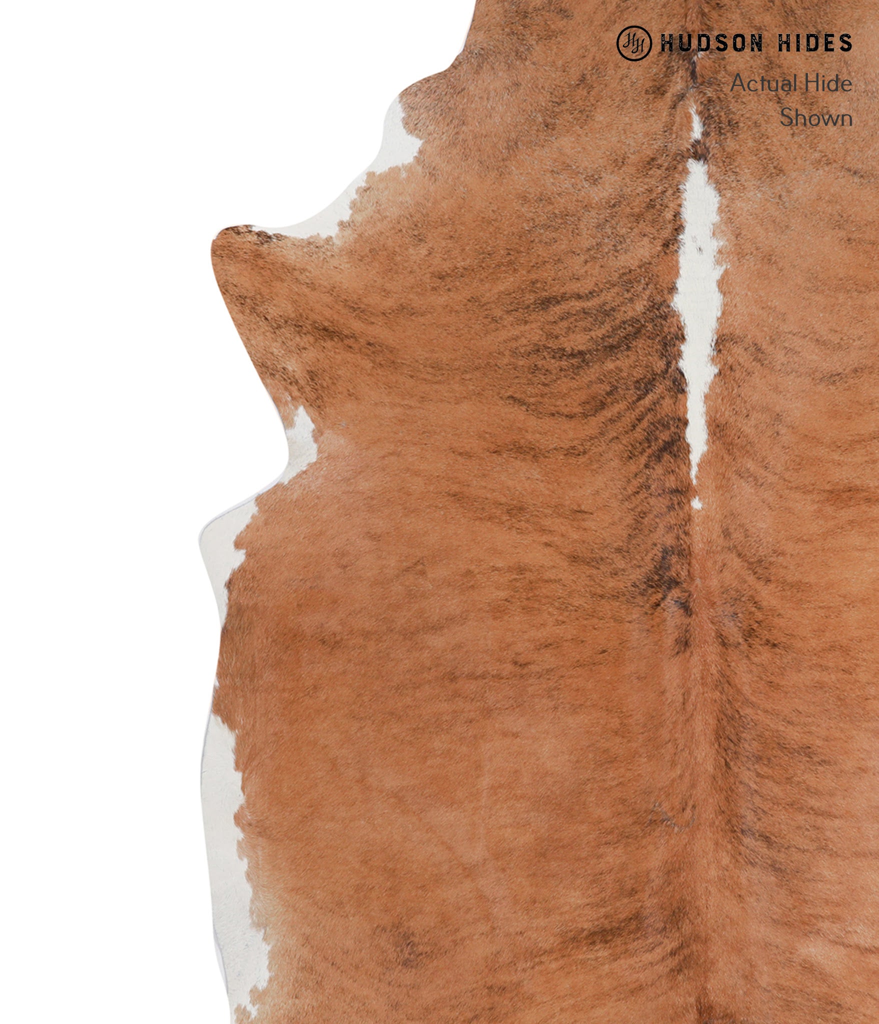 Medium Brindle Cowhide Rug #A4903