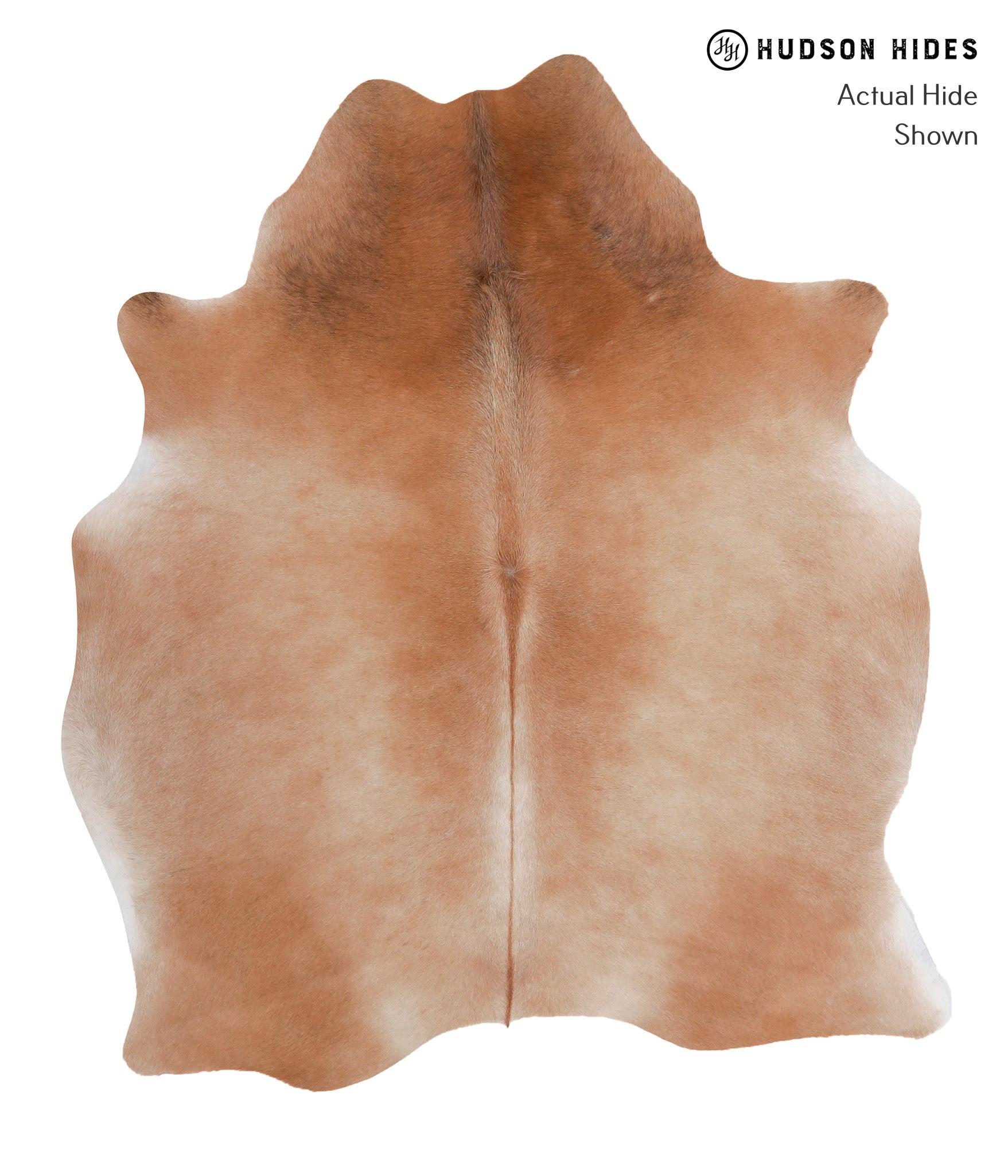 Solid Brown Cowhide Rug #A4943