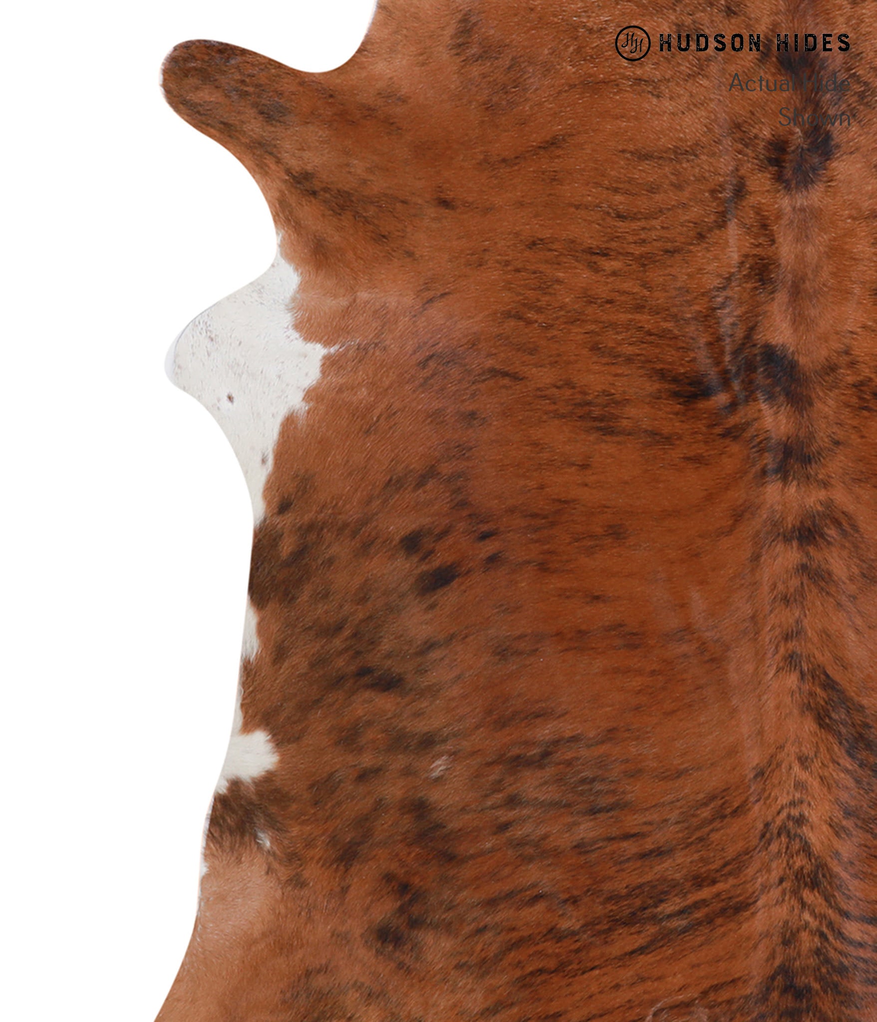 Medium Brindle Cowhide Rug #A4987