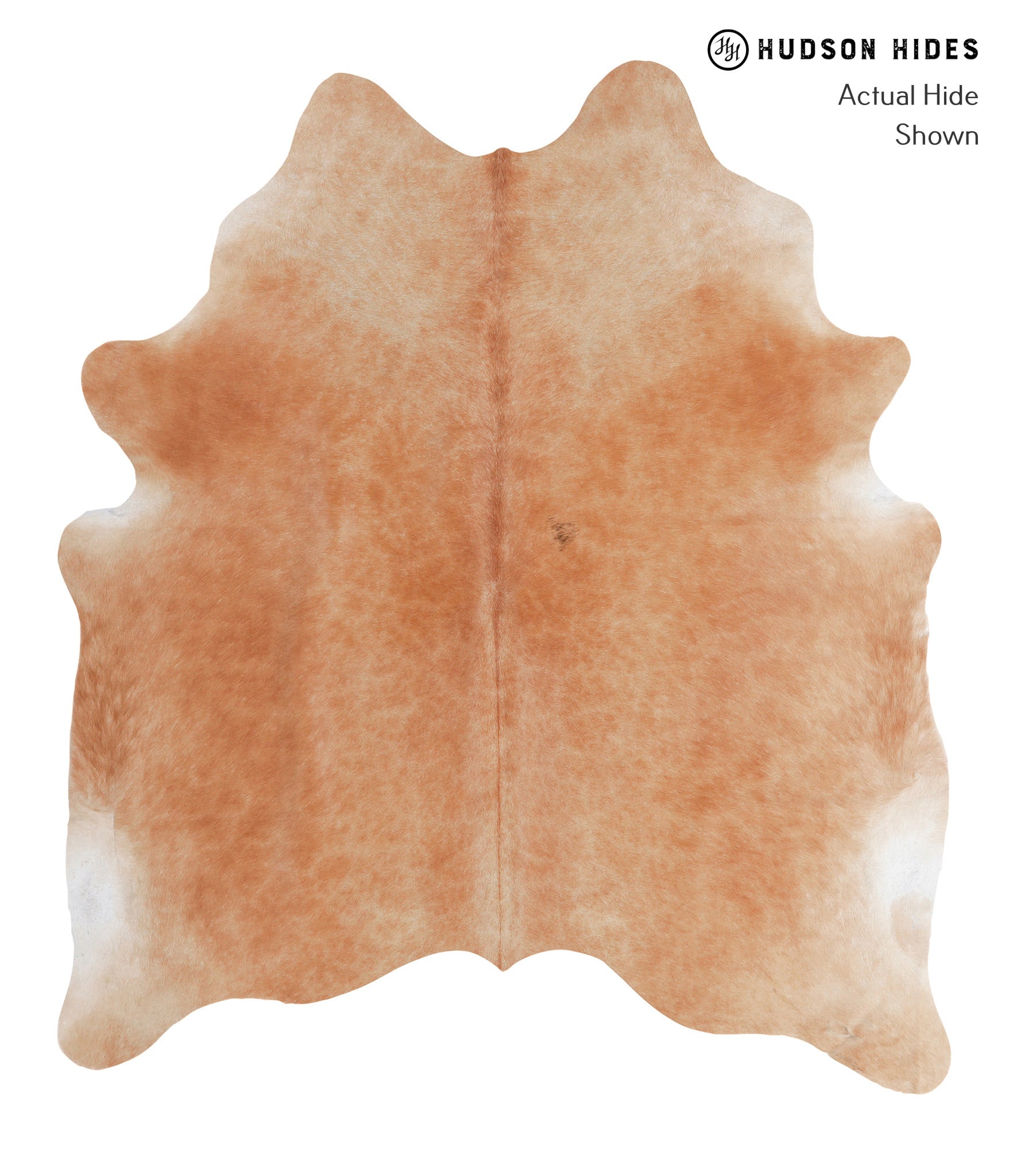 Solid Brown Cowhide Rug #A5057