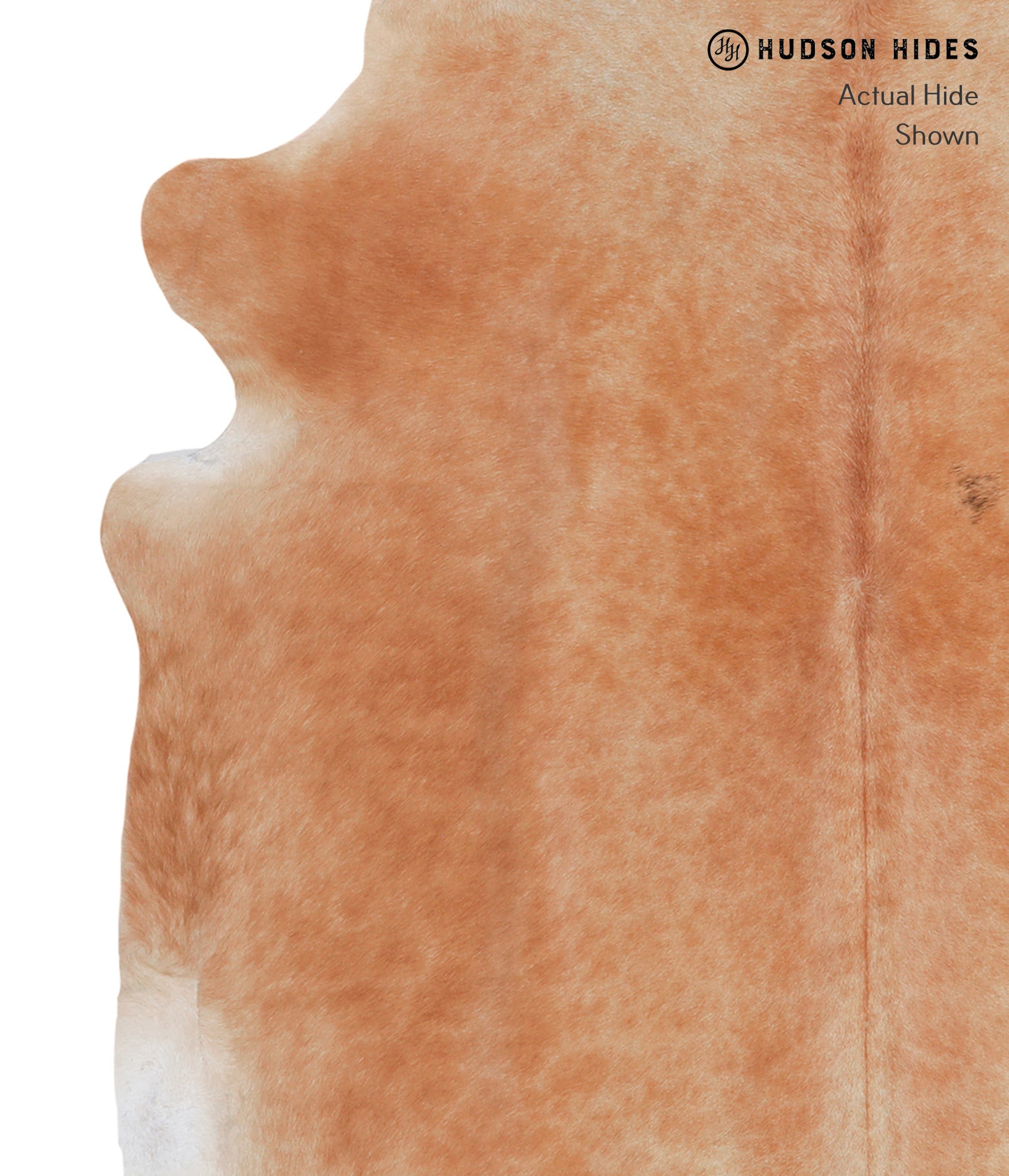 Solid Brown Cowhide Rug #A5057