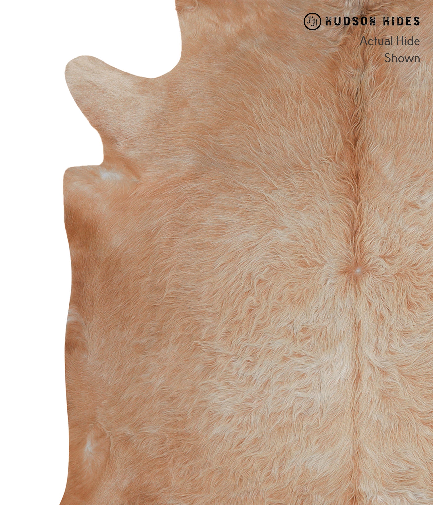 Solid Brown Cowhide Rug #A5095