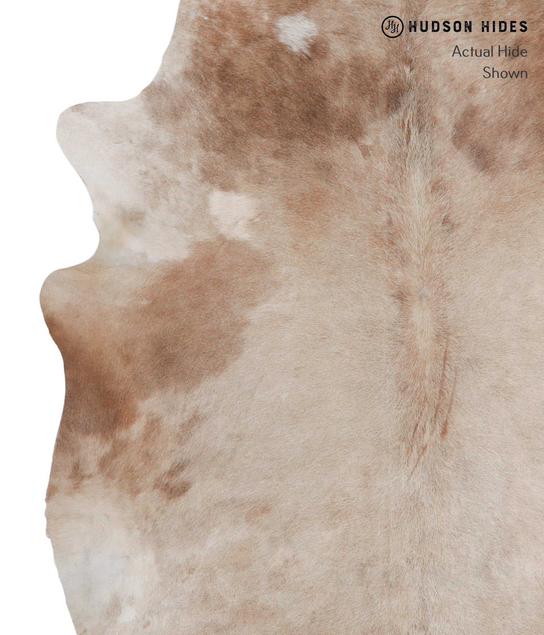 Caramel Cowhide Rug #A5195