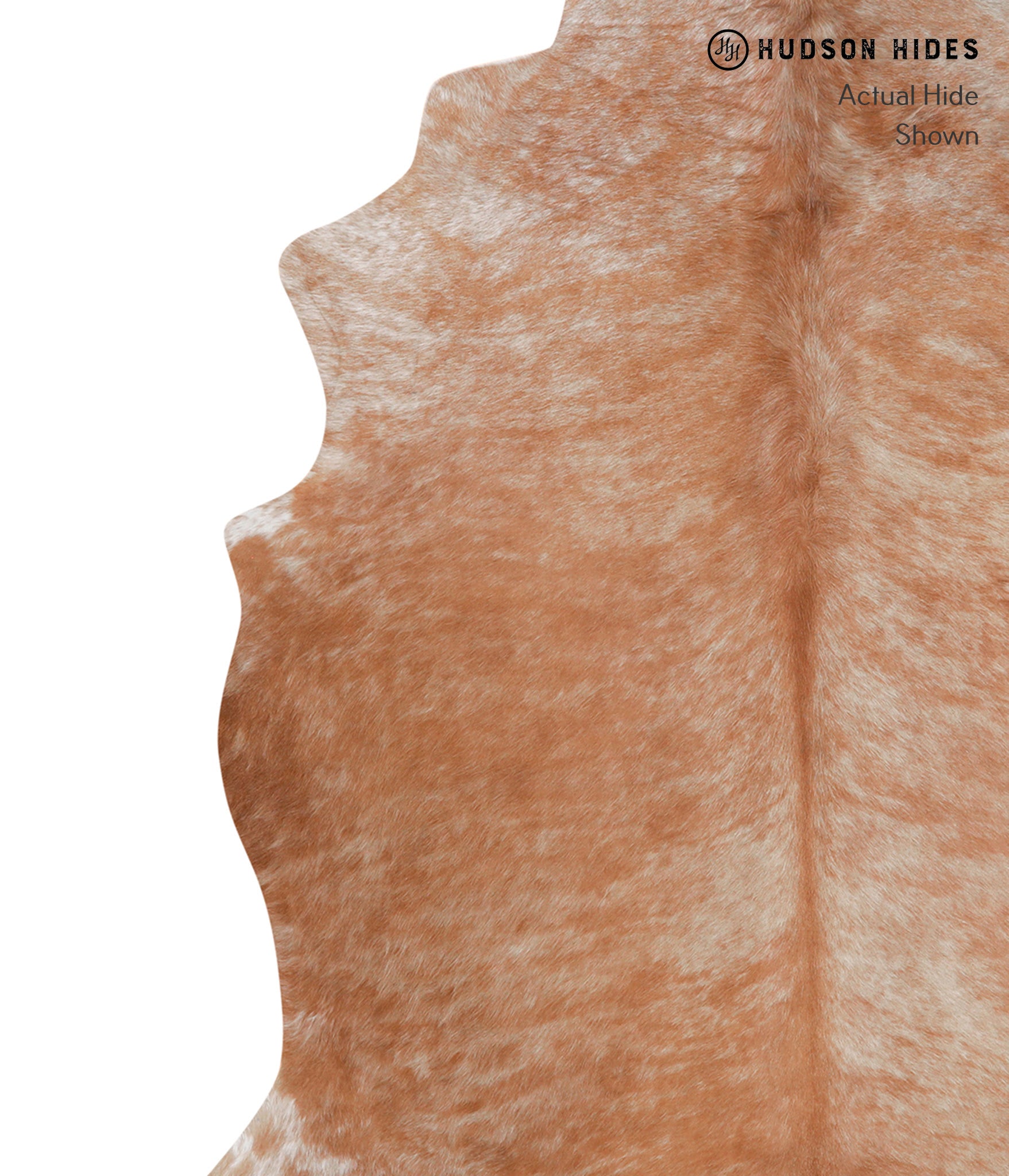 Caramel Cowhide Rug #A5206