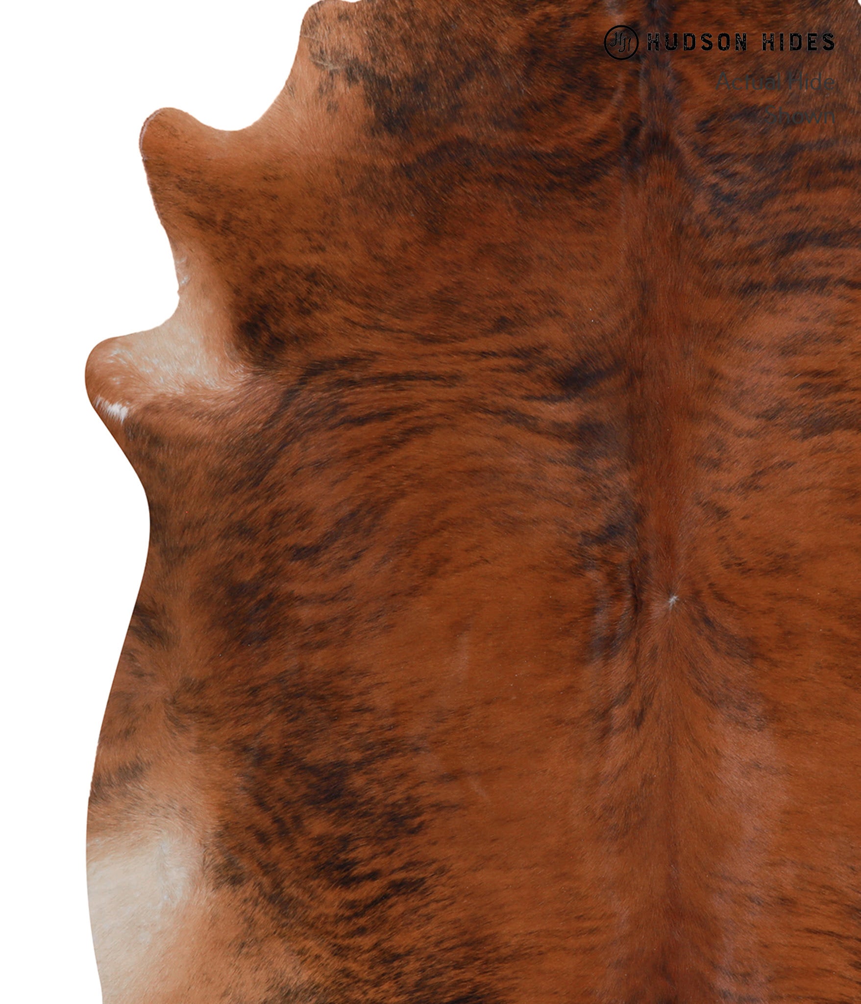 Medium Brindle Cowhide Rug #A5416