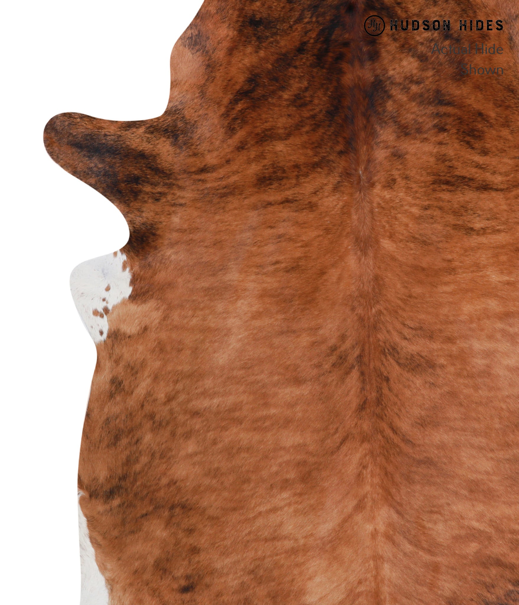 Medium Brindle Cowhide Rug #A5422