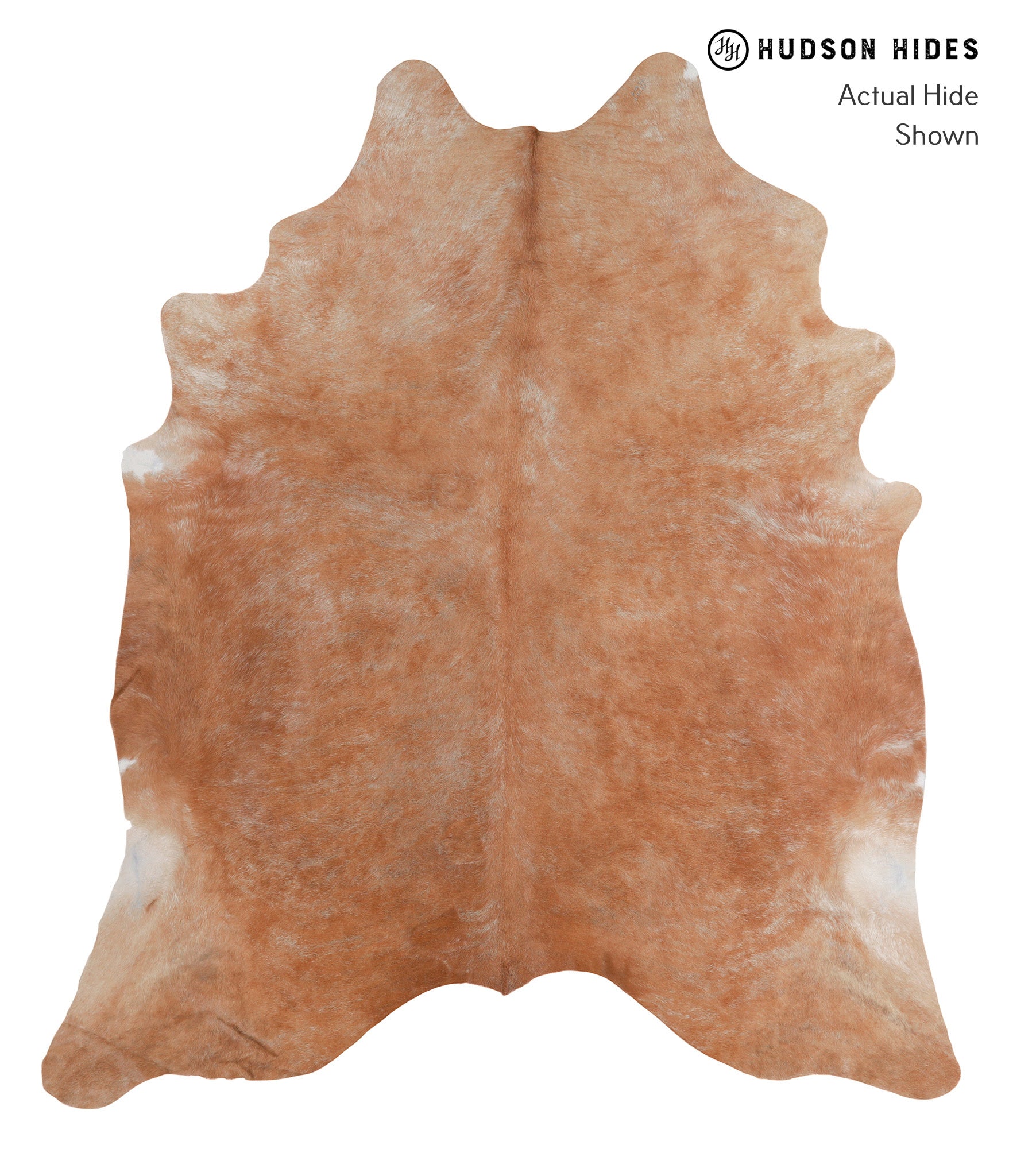 Solid Brown Cowhide Rug #A5510