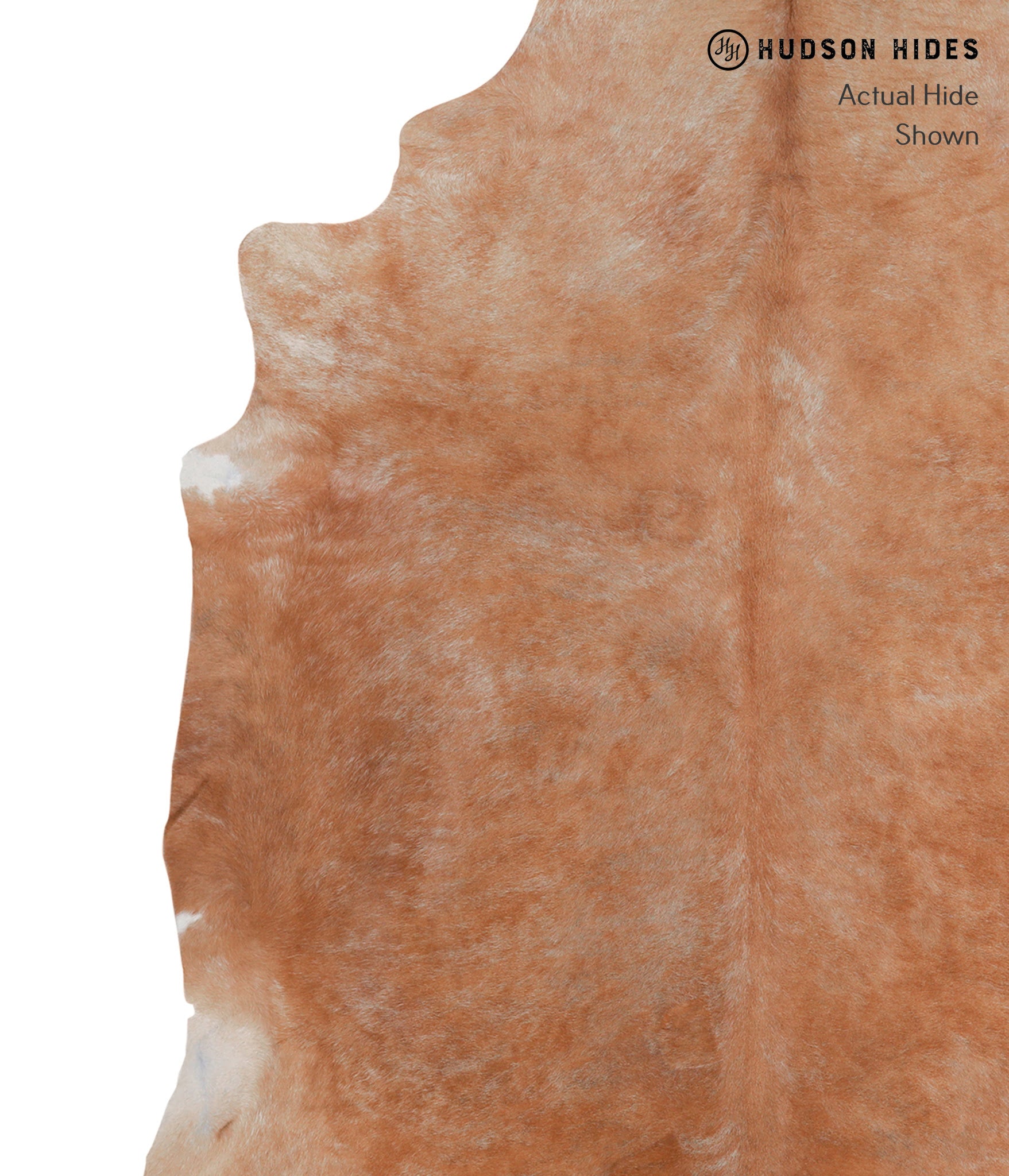 Solid Brown Cowhide Rug #A5510