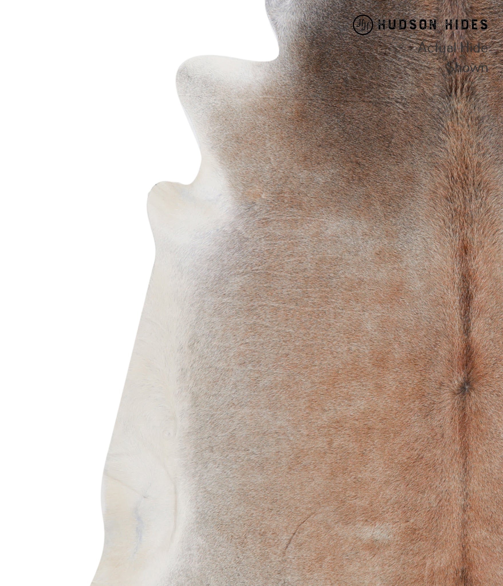 Grey with Beige Cowhide Rug #A5523