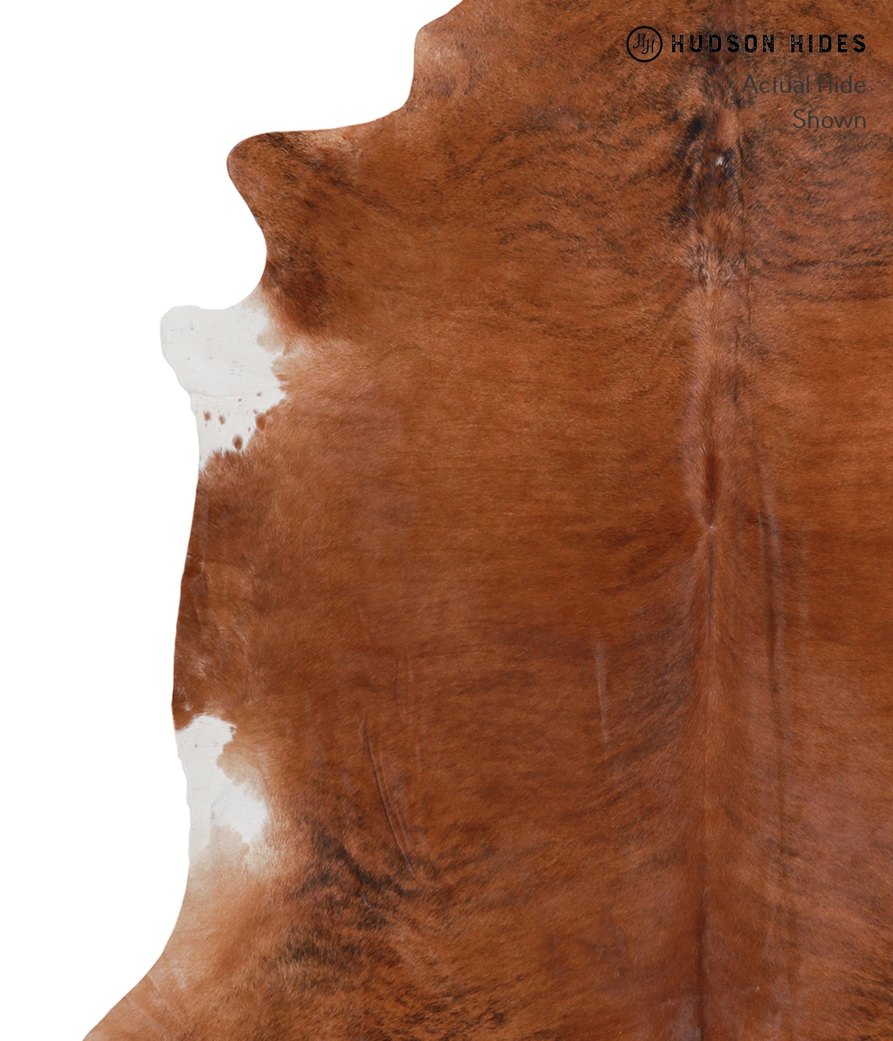 Medium Brindle Cowhide Rug #A5528