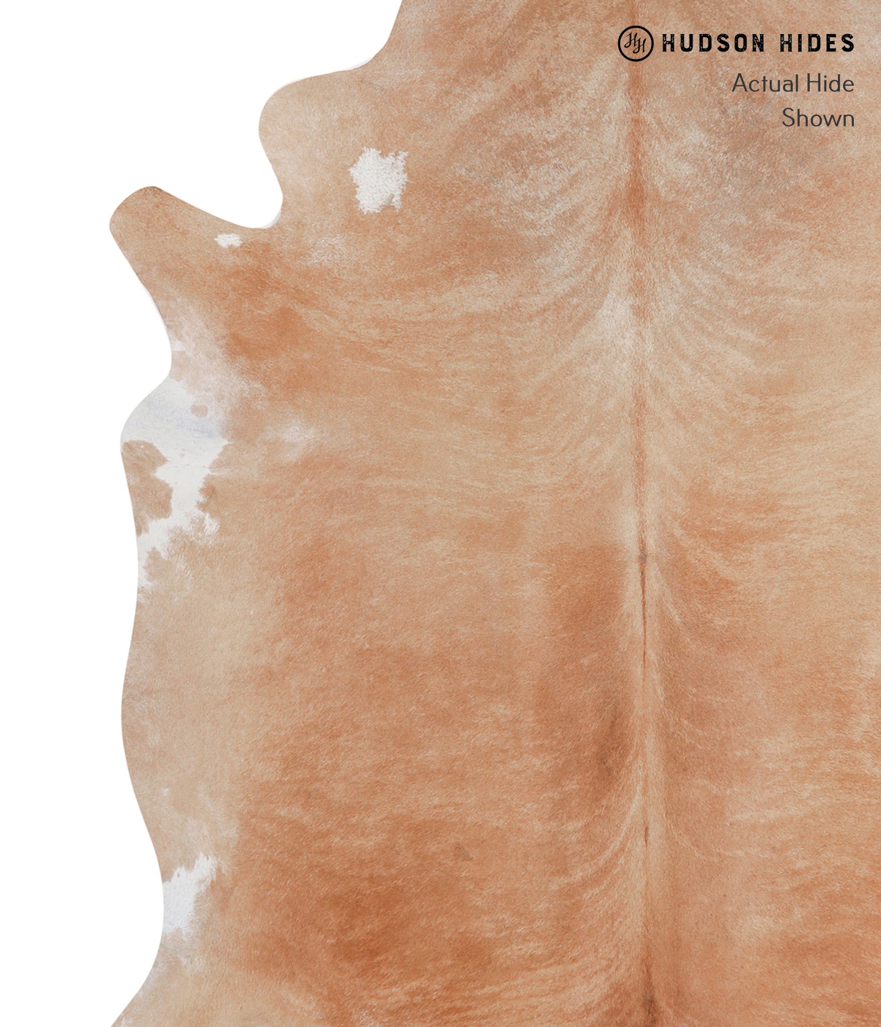 Beige Cowhide Rug #A5561