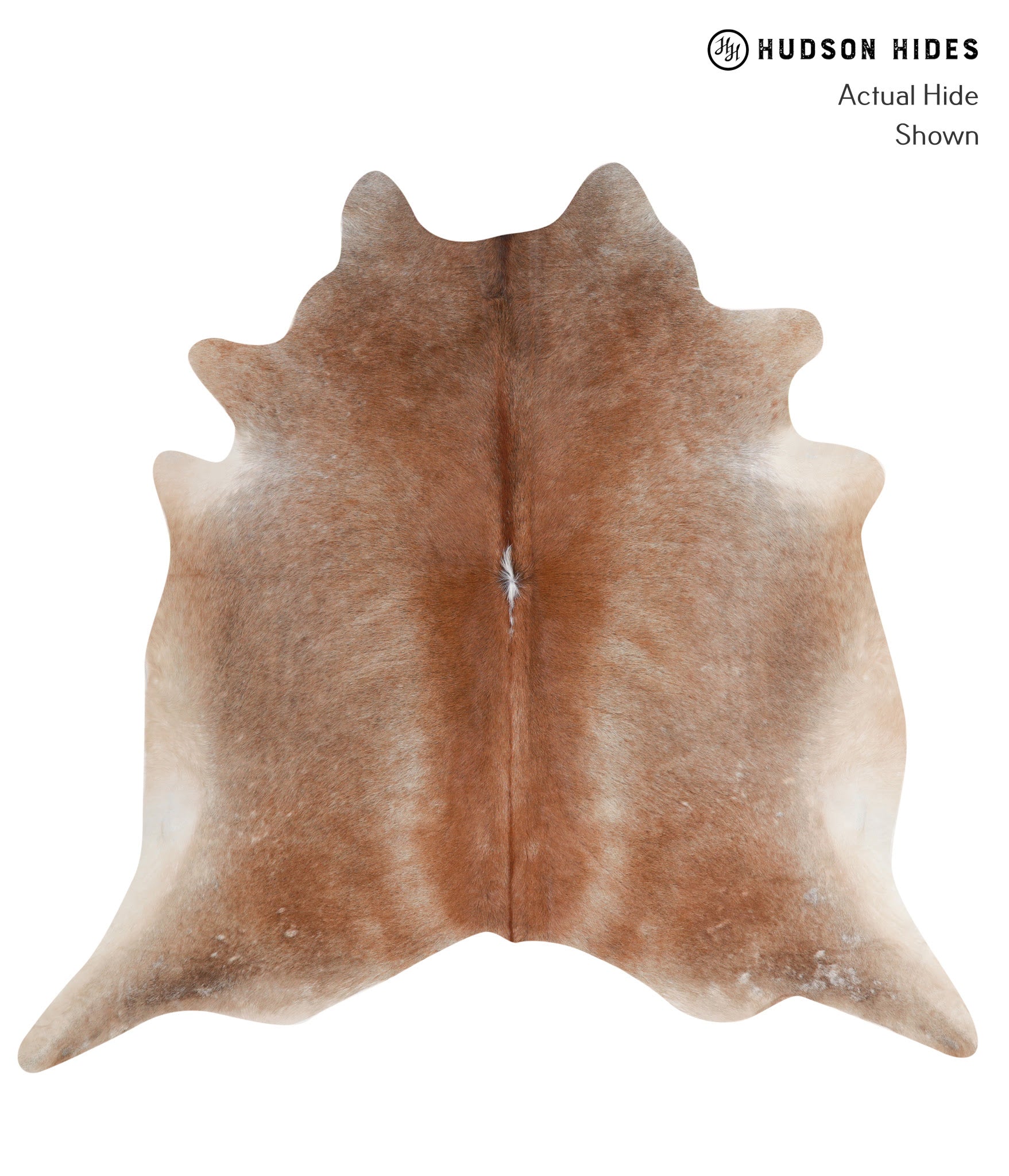 Caramel Cowhide Rug #A5570