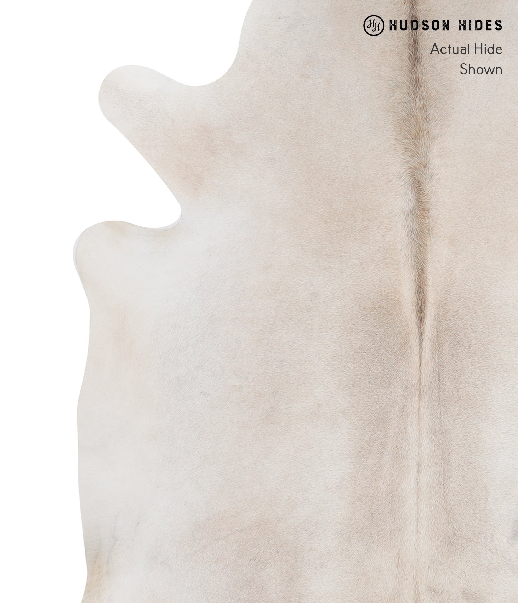 Ivory with Beige Cowhide Rug #A5589