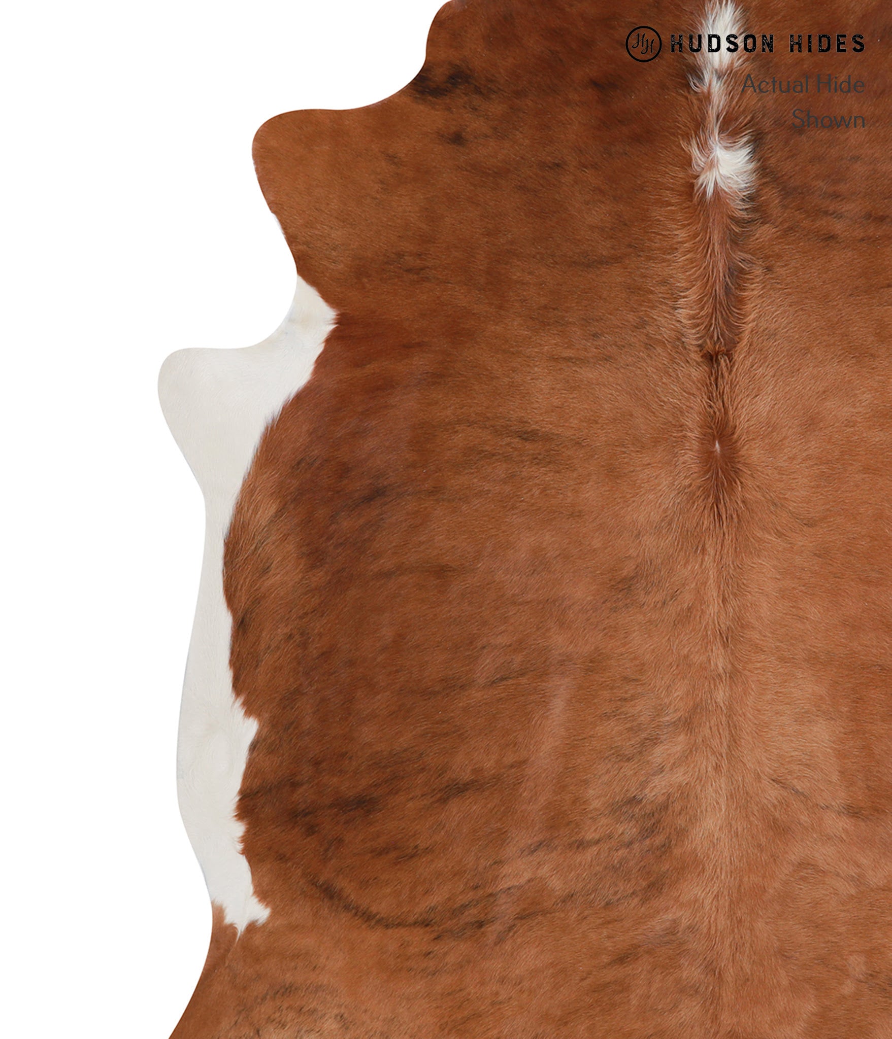 Medium Brindle Cowhide Rug #A5591