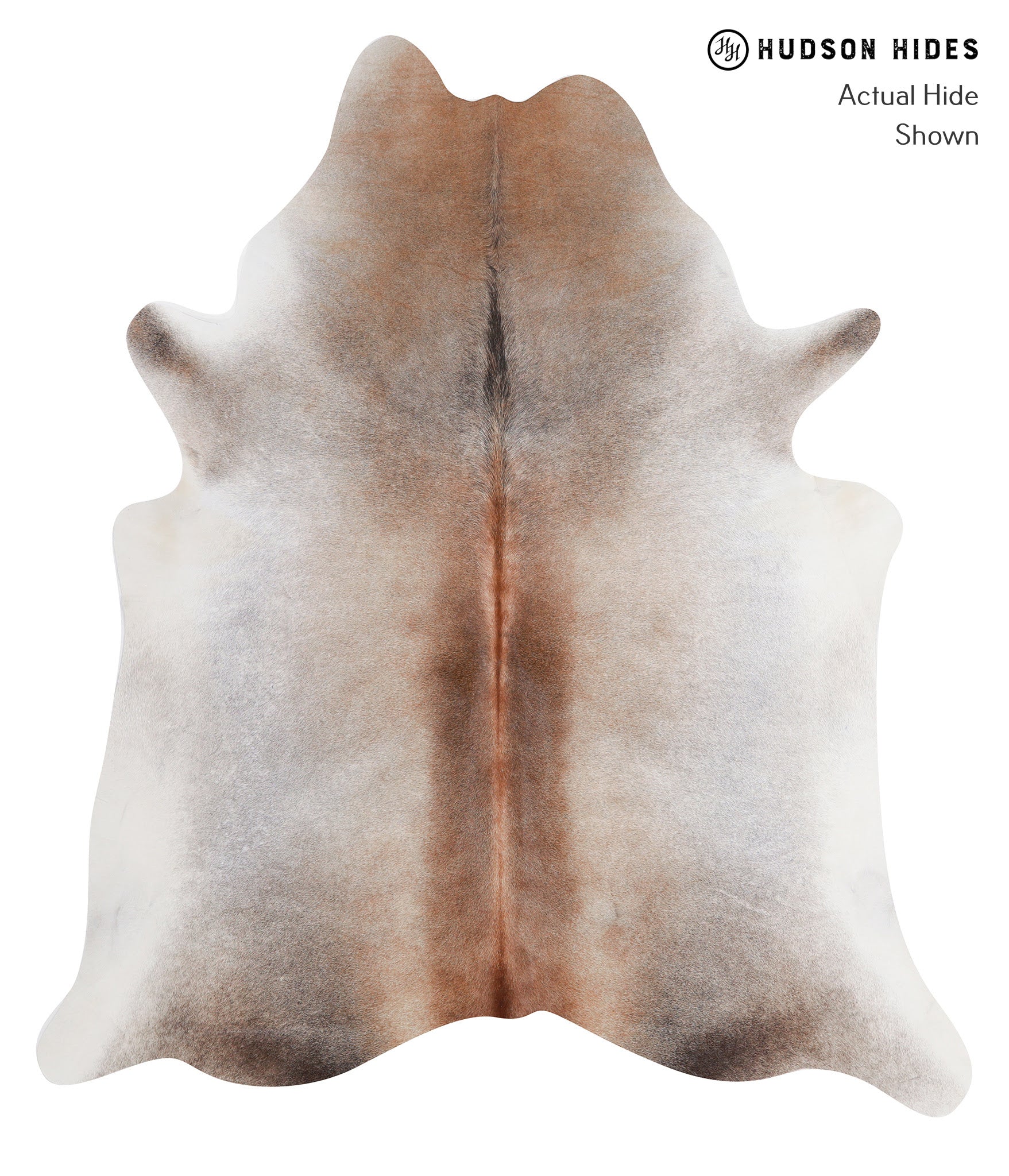 Grey with Beige Cowhide Rug #A5649