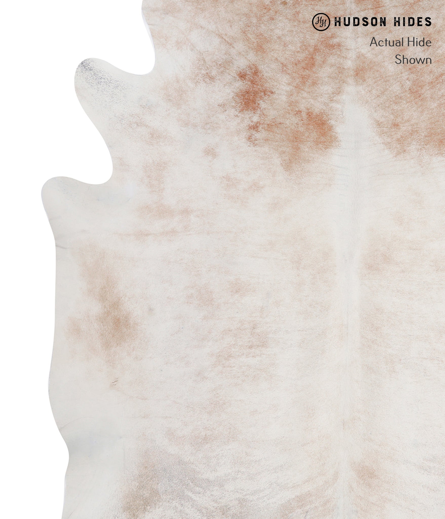 Caramel Cowhide Rug #A5747