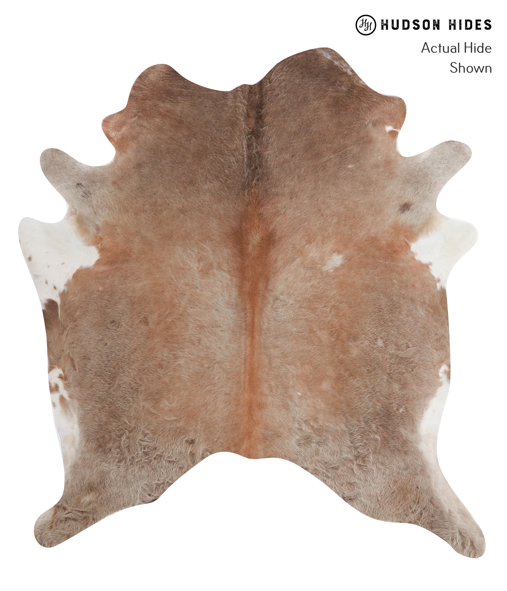 Caramel Cowhide Rug #A5771