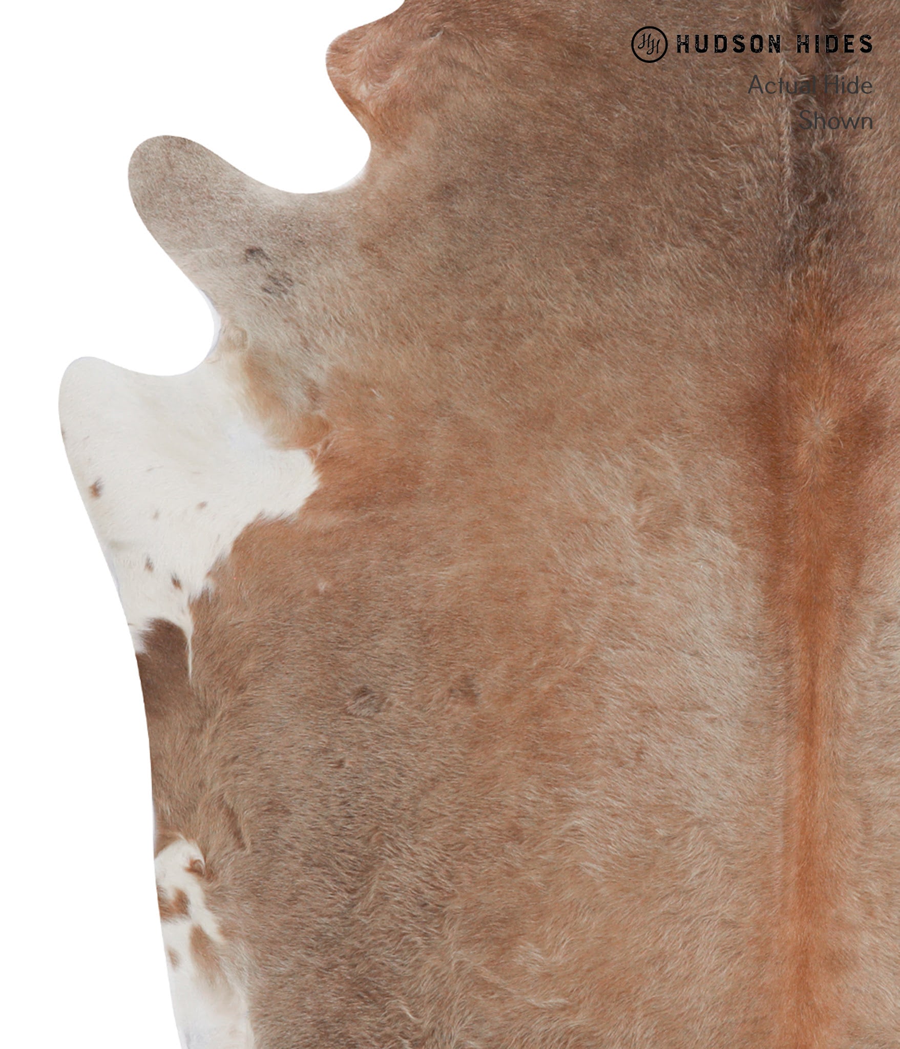 Caramel Cowhide Rug #A5771