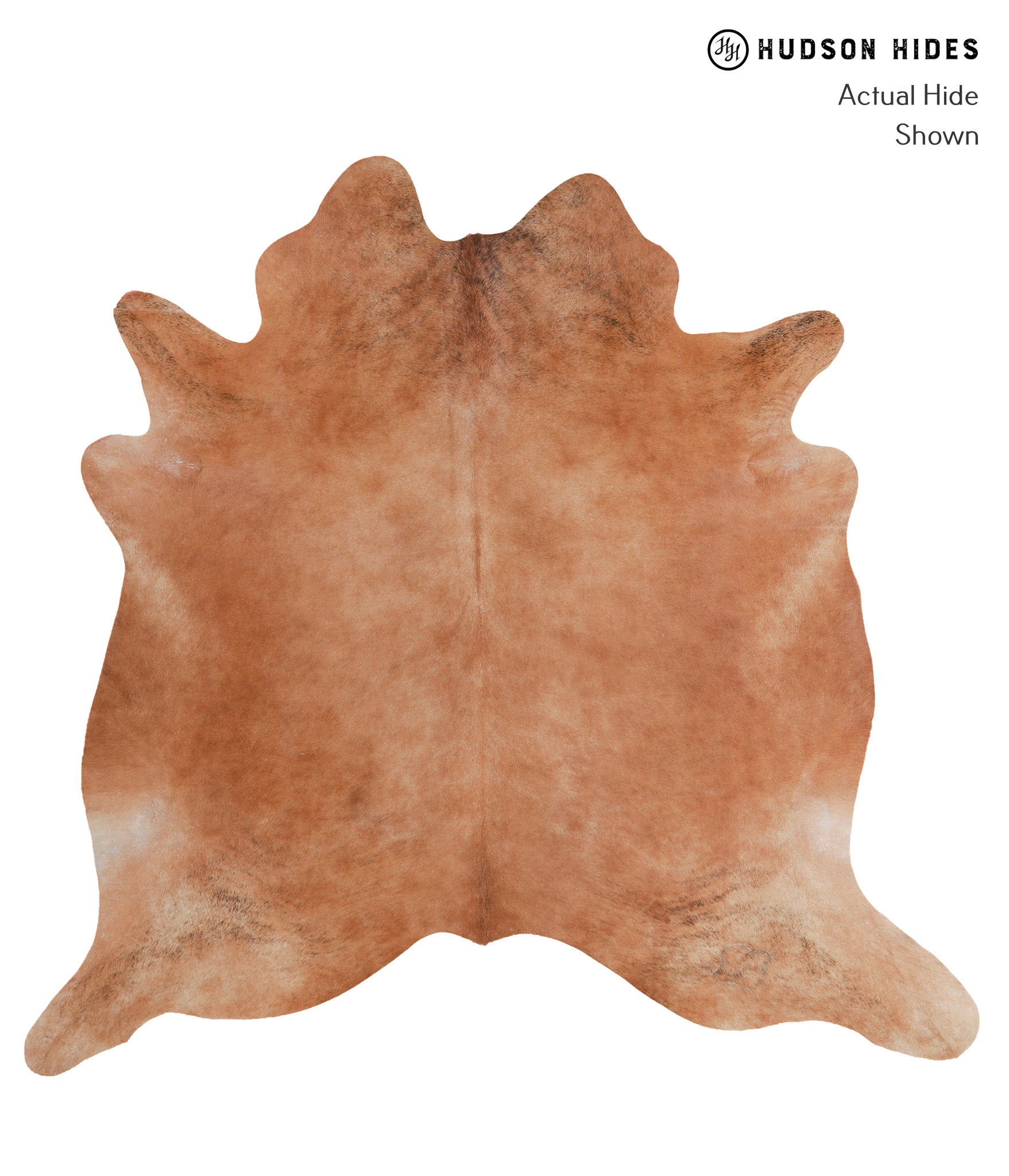 Solid Brown Cowhide Rug #A6765