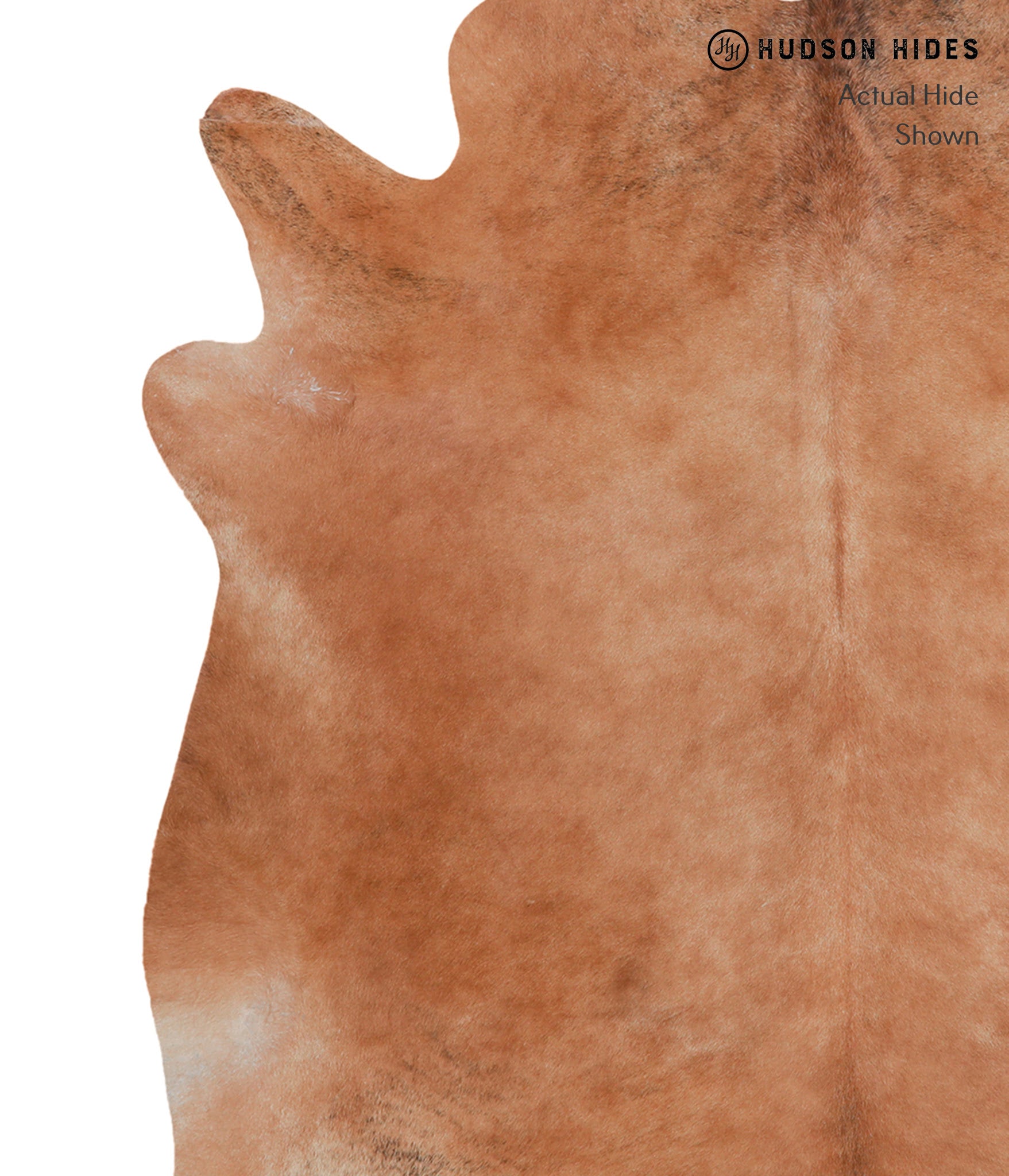 Solid Brown Cowhide Rug #A6765