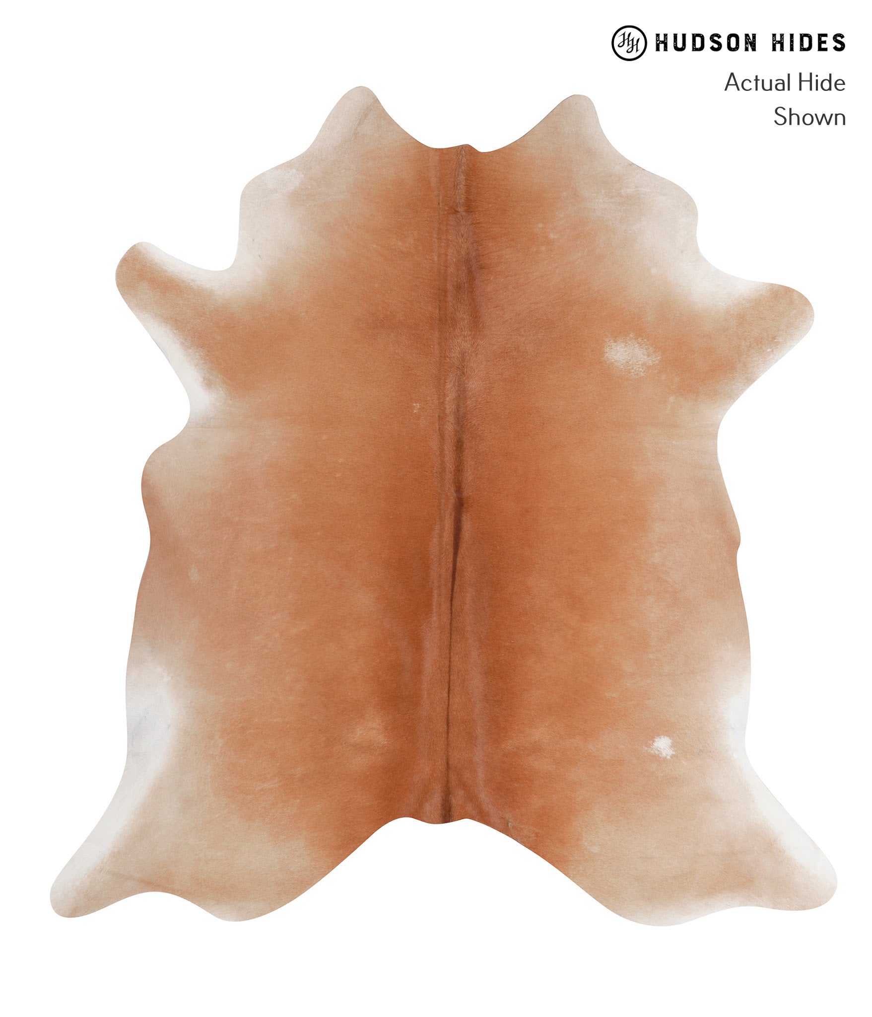 Solid Brown Cowhide Rug #A6776