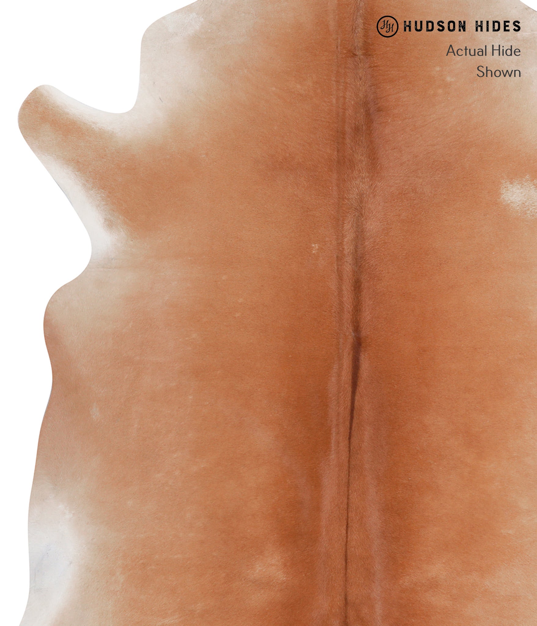 Solid Brown Cowhide Rug #A6776