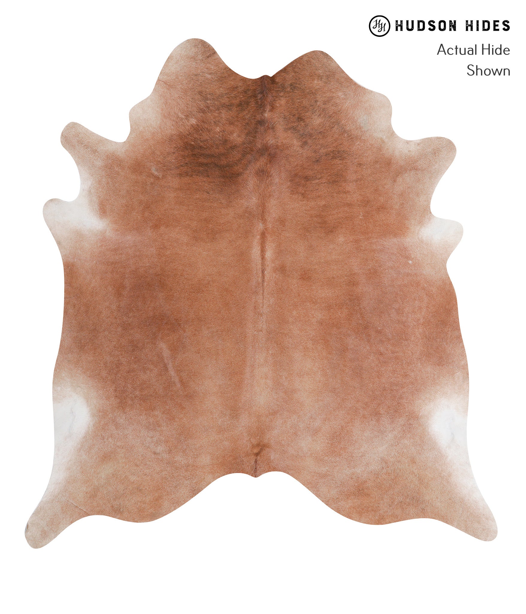 Solid Brown Cowhide Rug #A6805