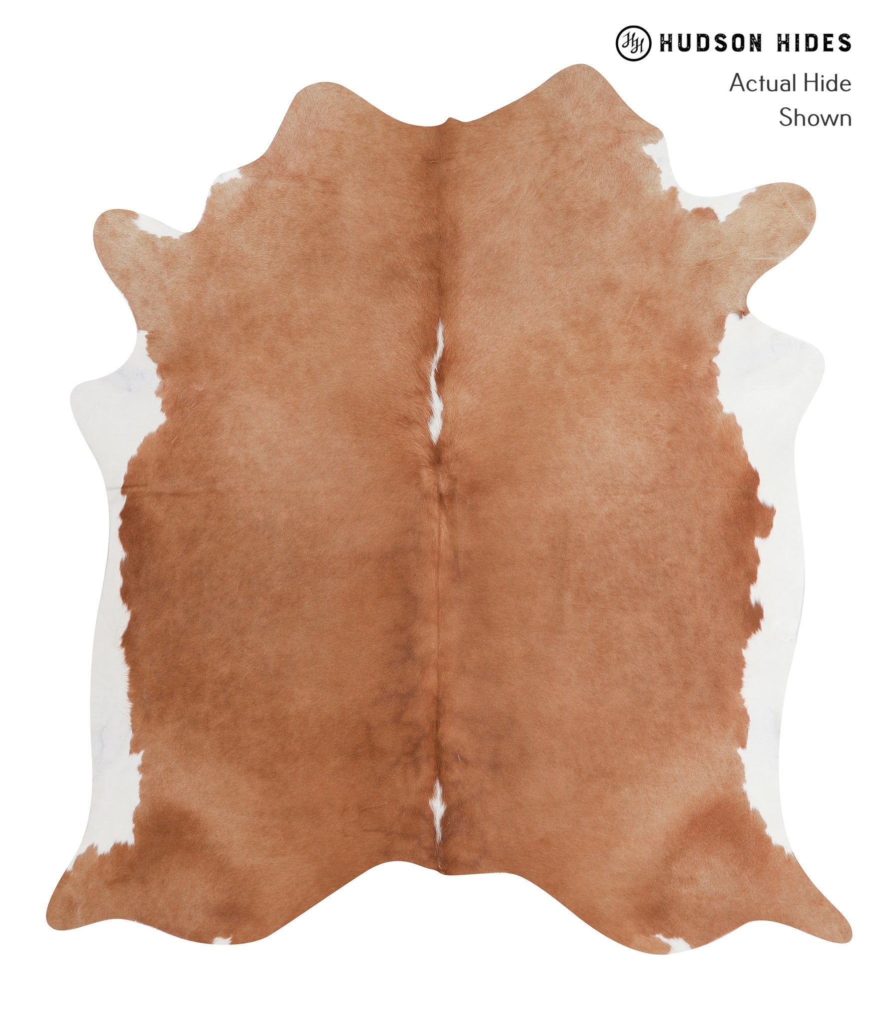 Brown and White Regular Cowhide Rug #A6806