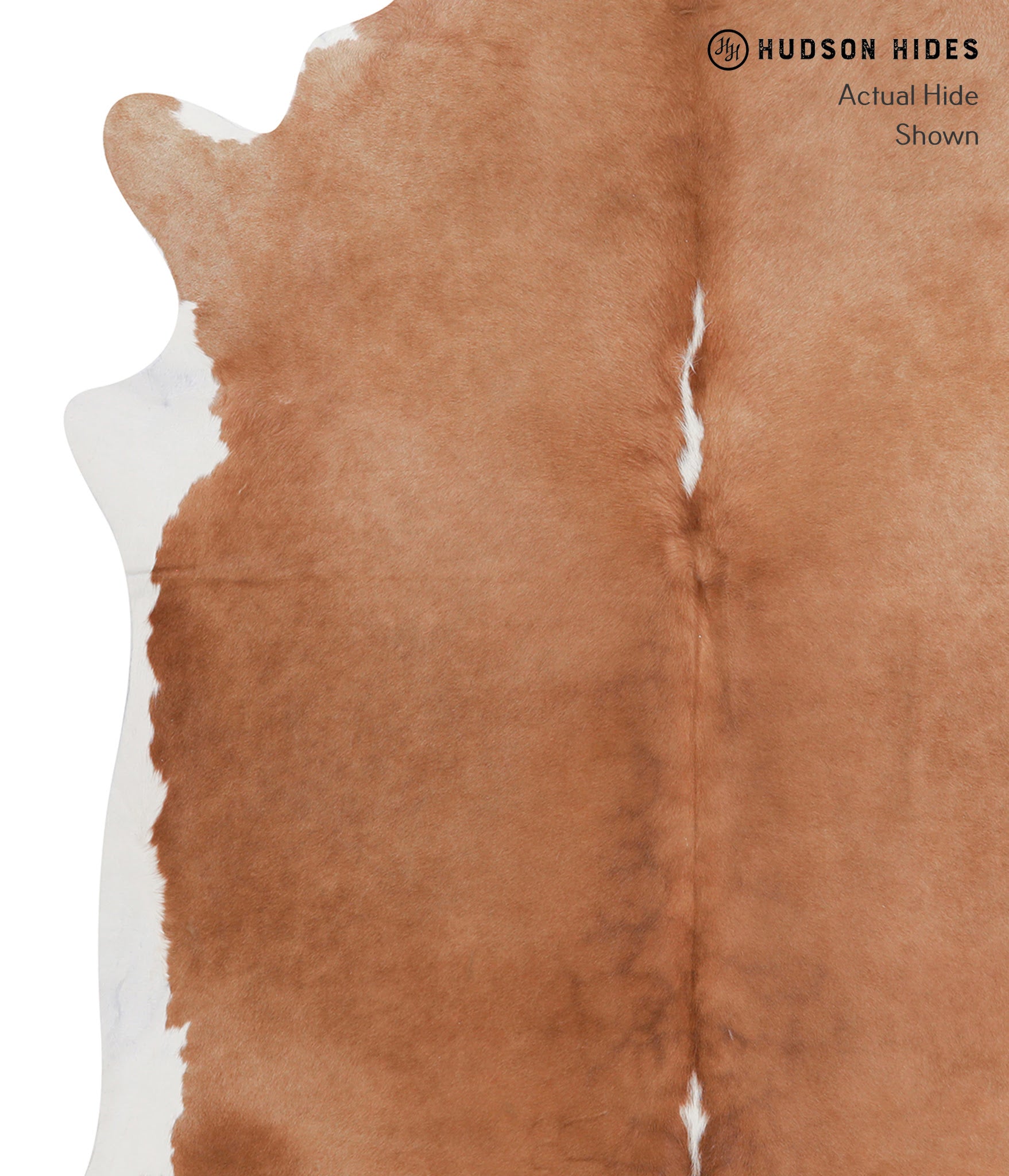 Brown and White Regular Cowhide Rug #A6806