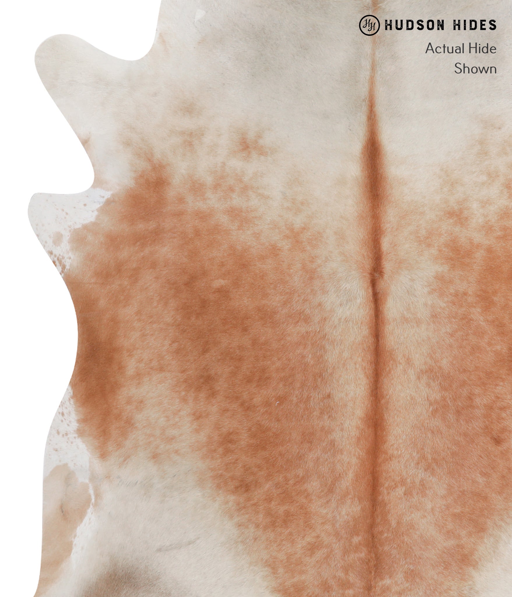 Caramel Cowhide Rug #A6807