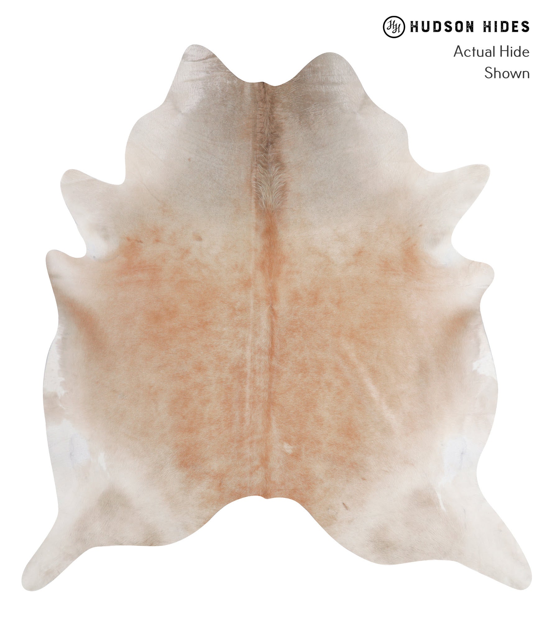 Caramel Cowhide Rug #A6829