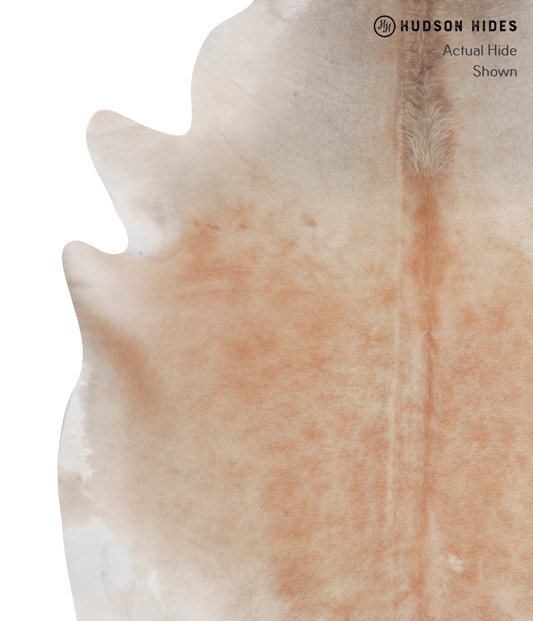 Caramel Cowhide Rug #A6829