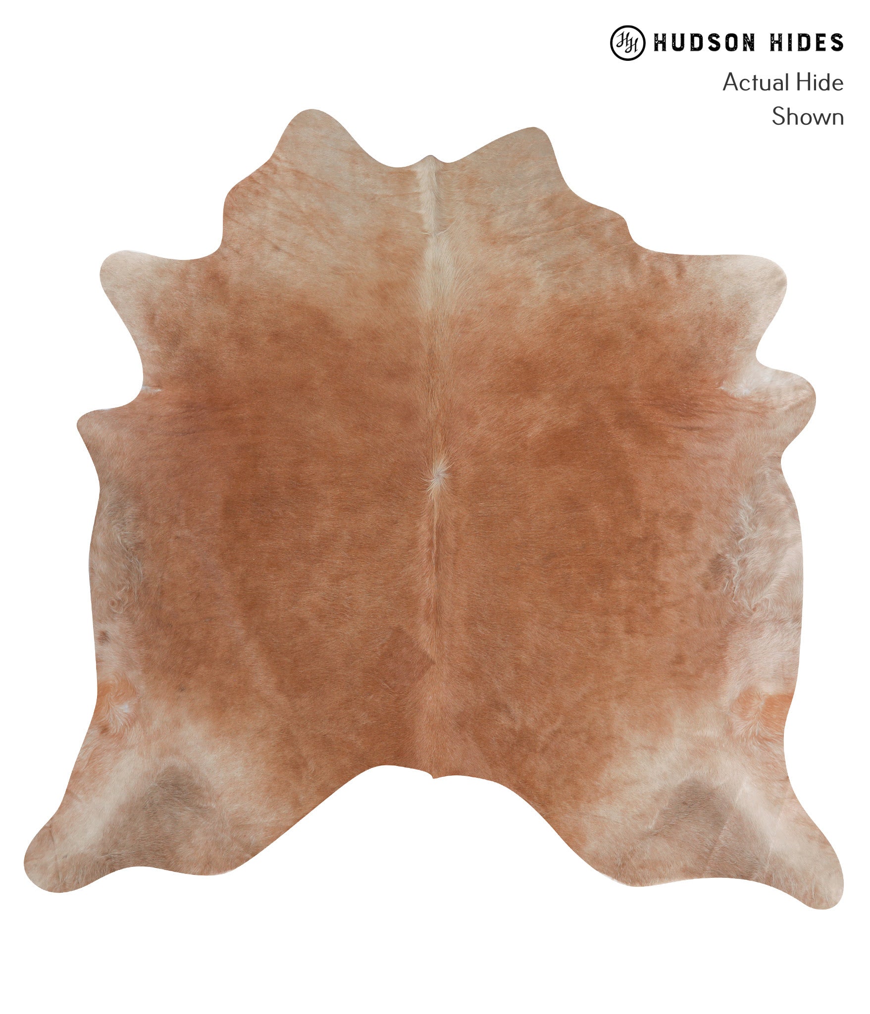 Solid Brown Cowhide Rug #A6947