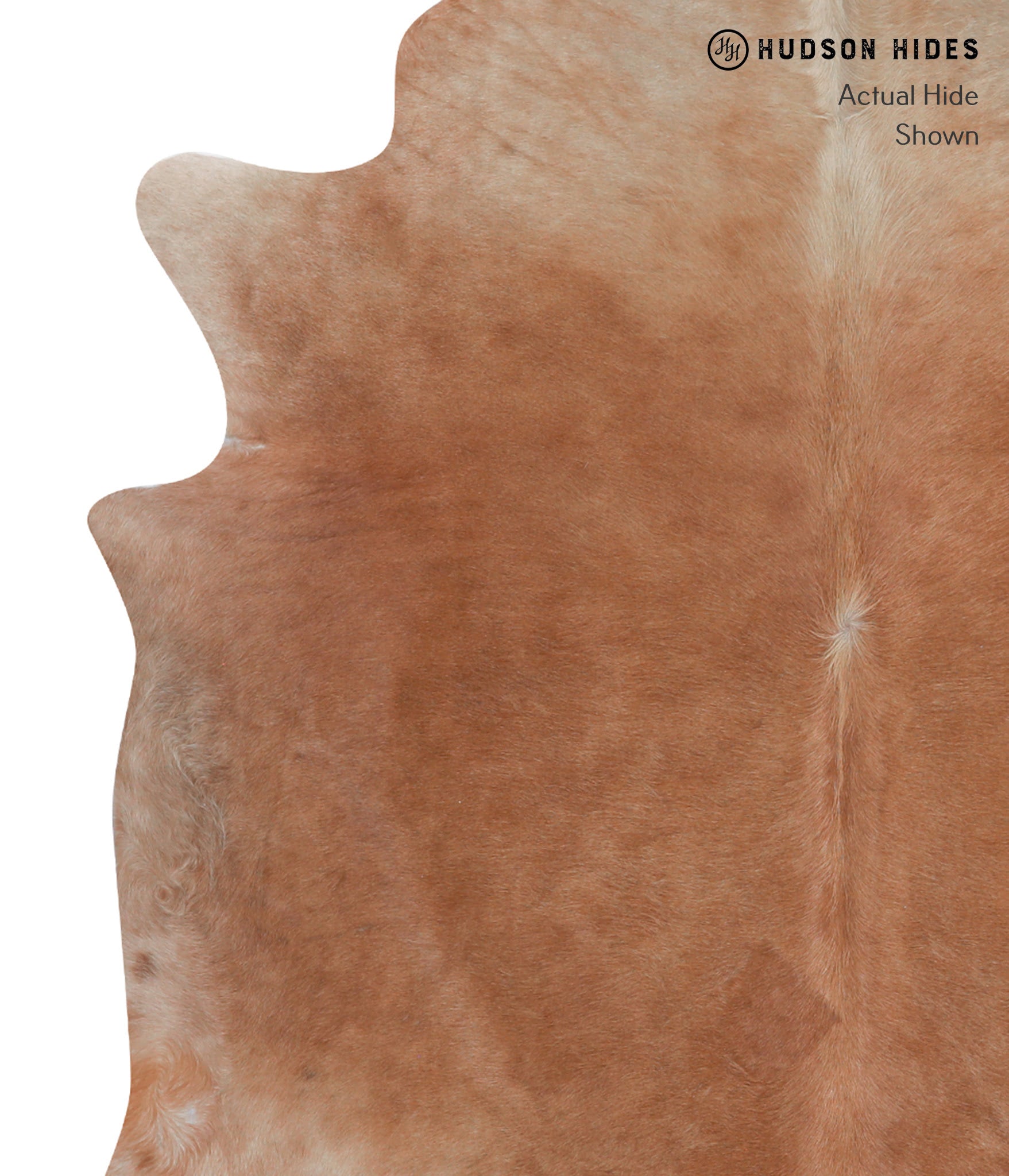 Solid Brown Cowhide Rug #A6947