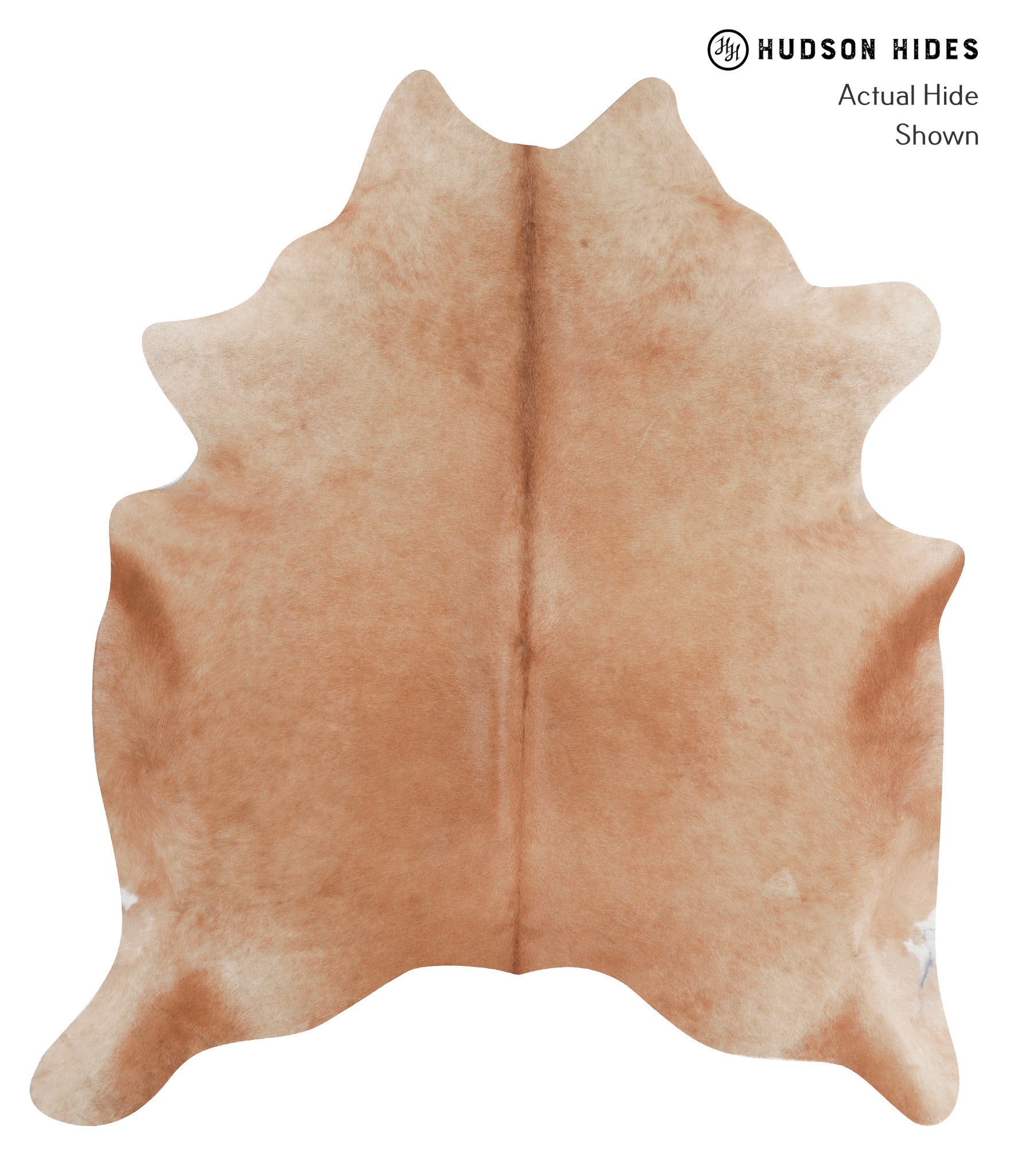 Solid Brown Cowhide Rug #A6976