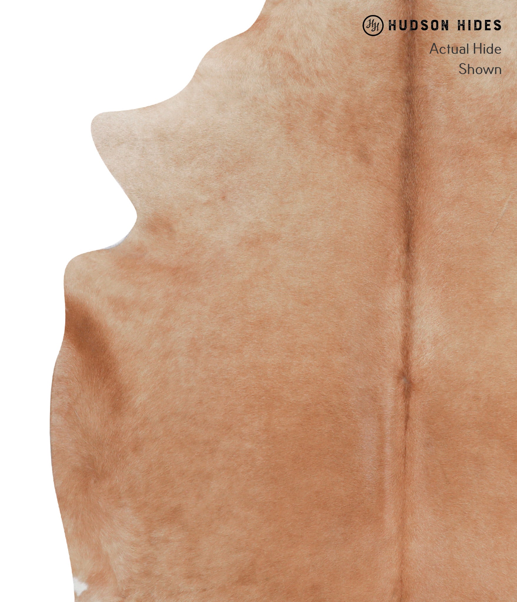 Solid Brown Cowhide Rug #A6976