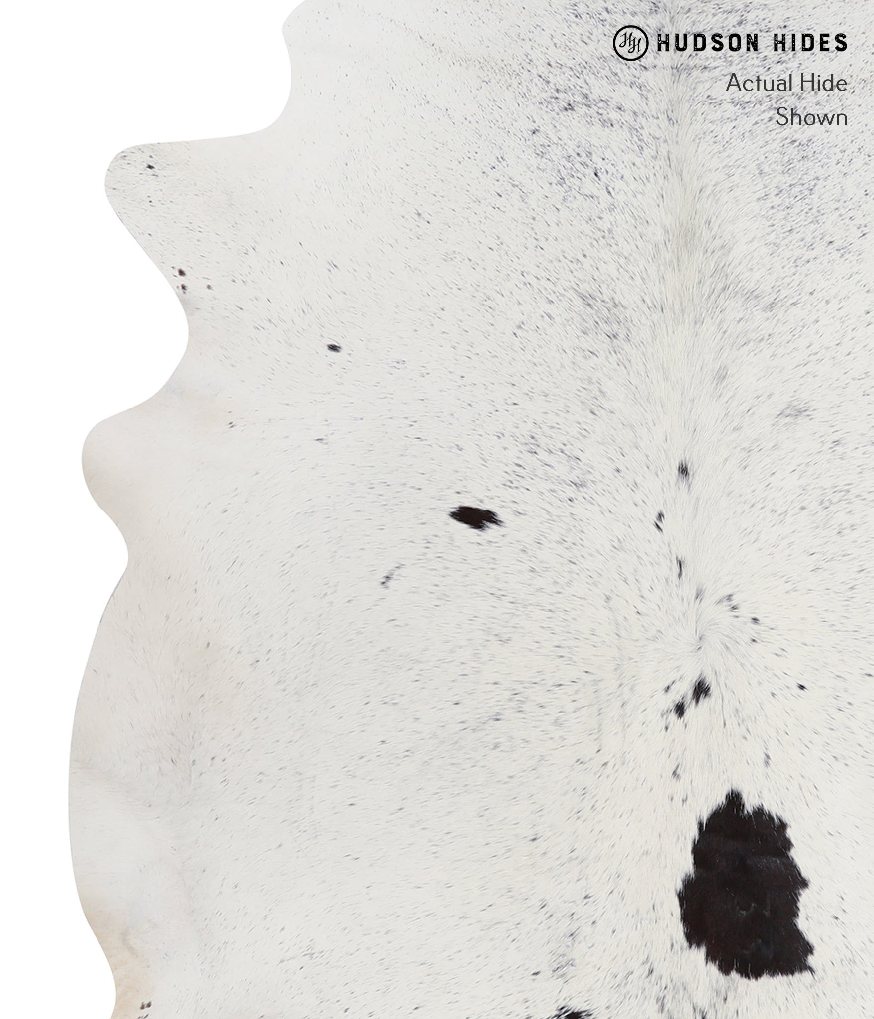 Salt and Pepper Black Cowhide Rug #A7042