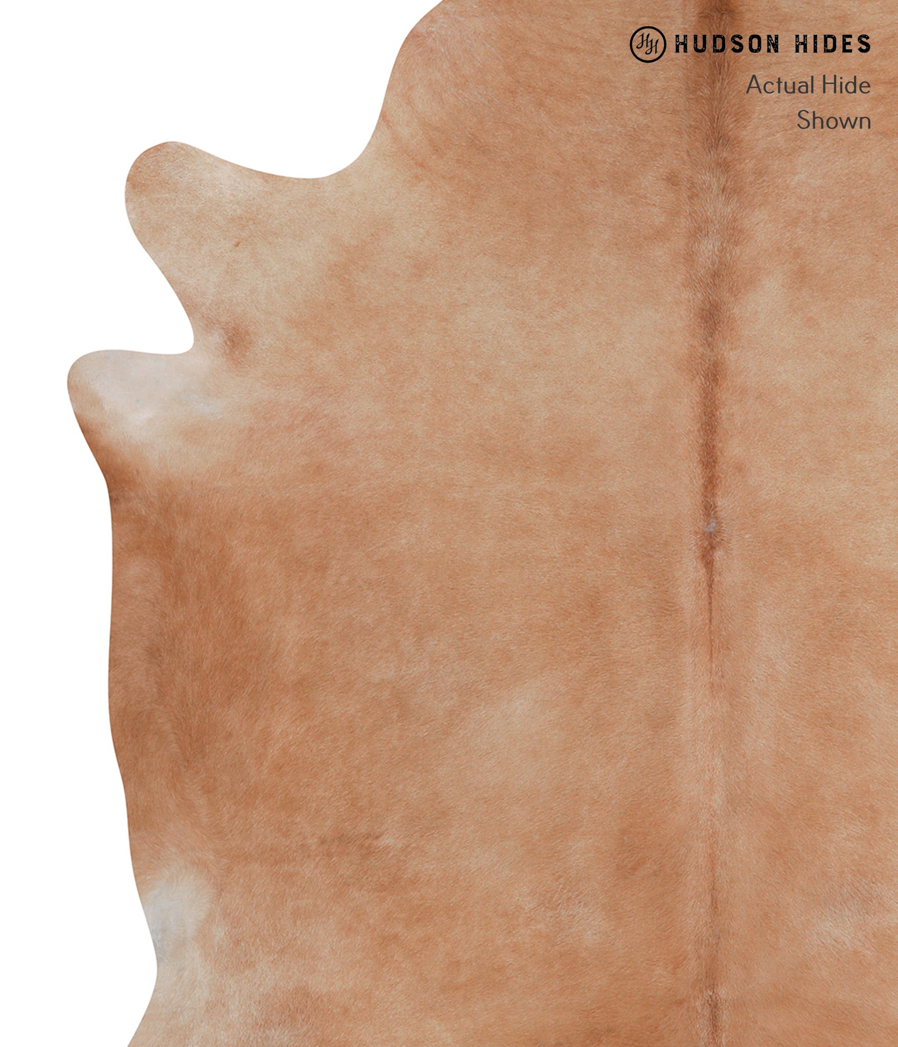 Solid Brown Cowhide Rug #A7052