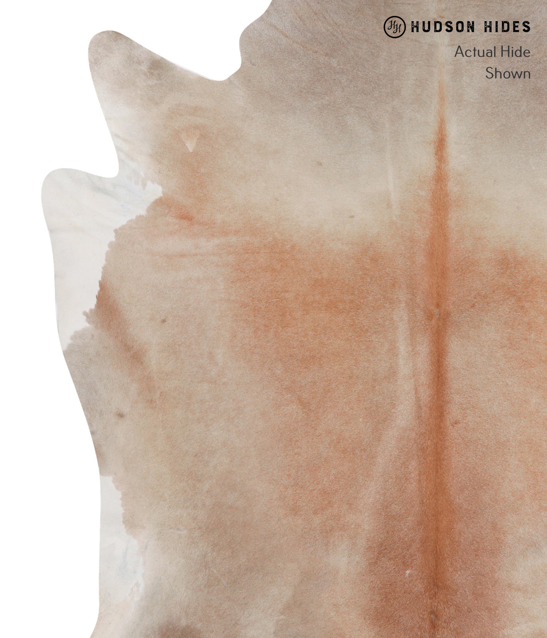 Caramel Cowhide Rug #A7314