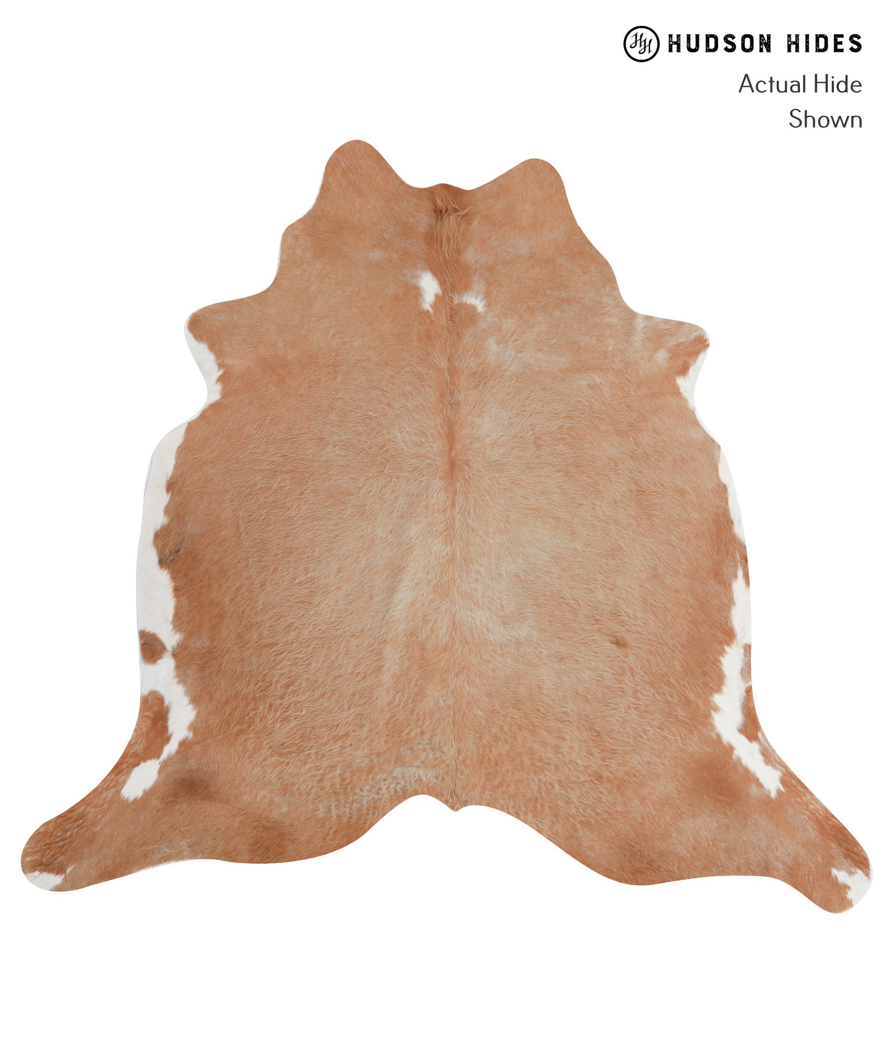 Brown and White Regular Cowhide Rug #A7370