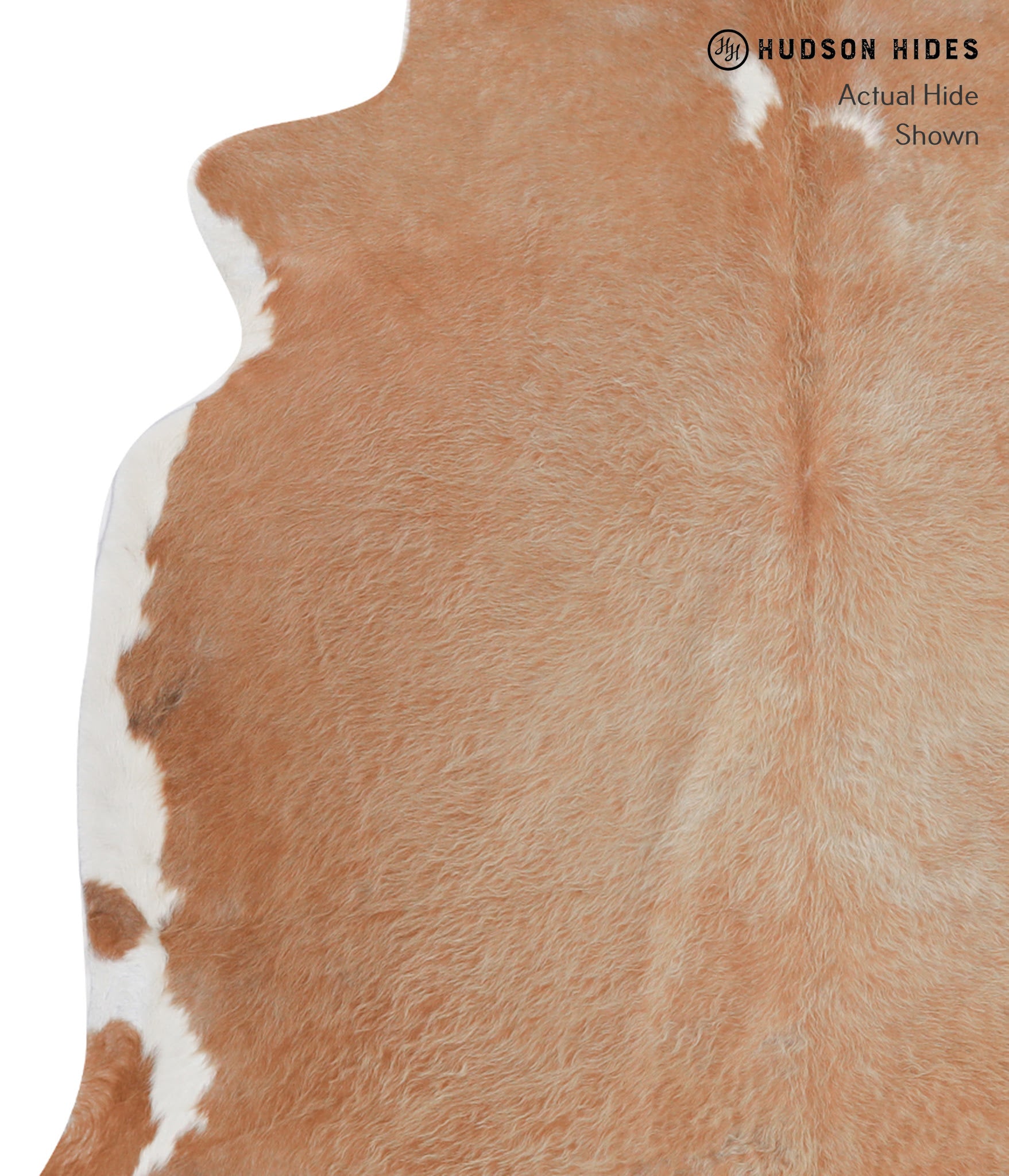 Brown and White Regular Cowhide Rug #A7370