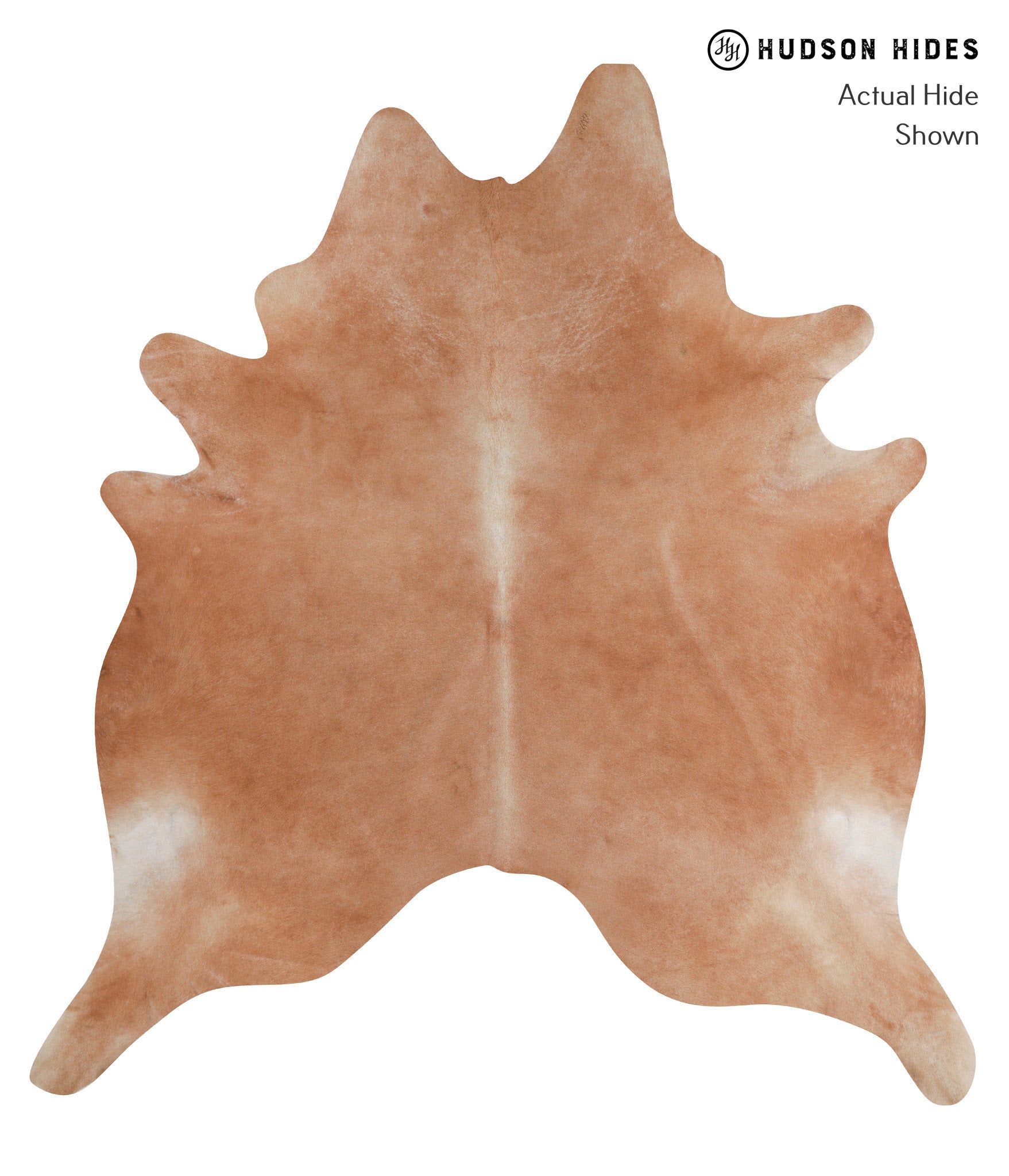 Solid Brown Cowhide Rug #A7464