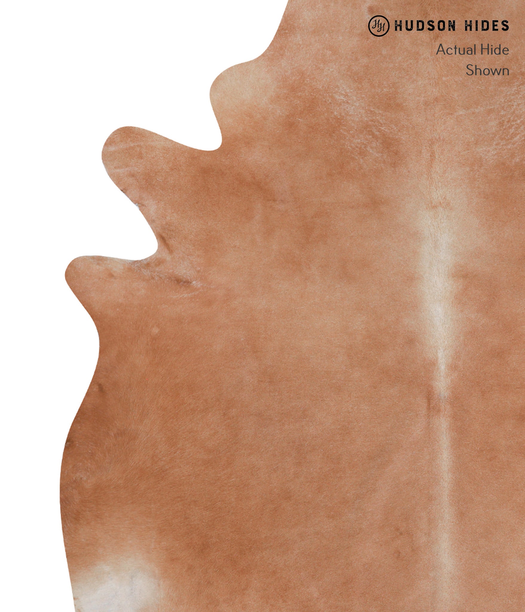 Solid Brown Cowhide Rug #A7464