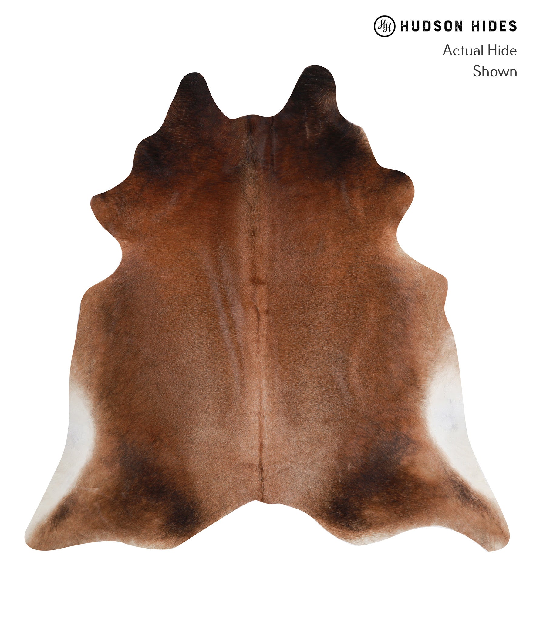 Brown with Red Cowhide Rug #A7667