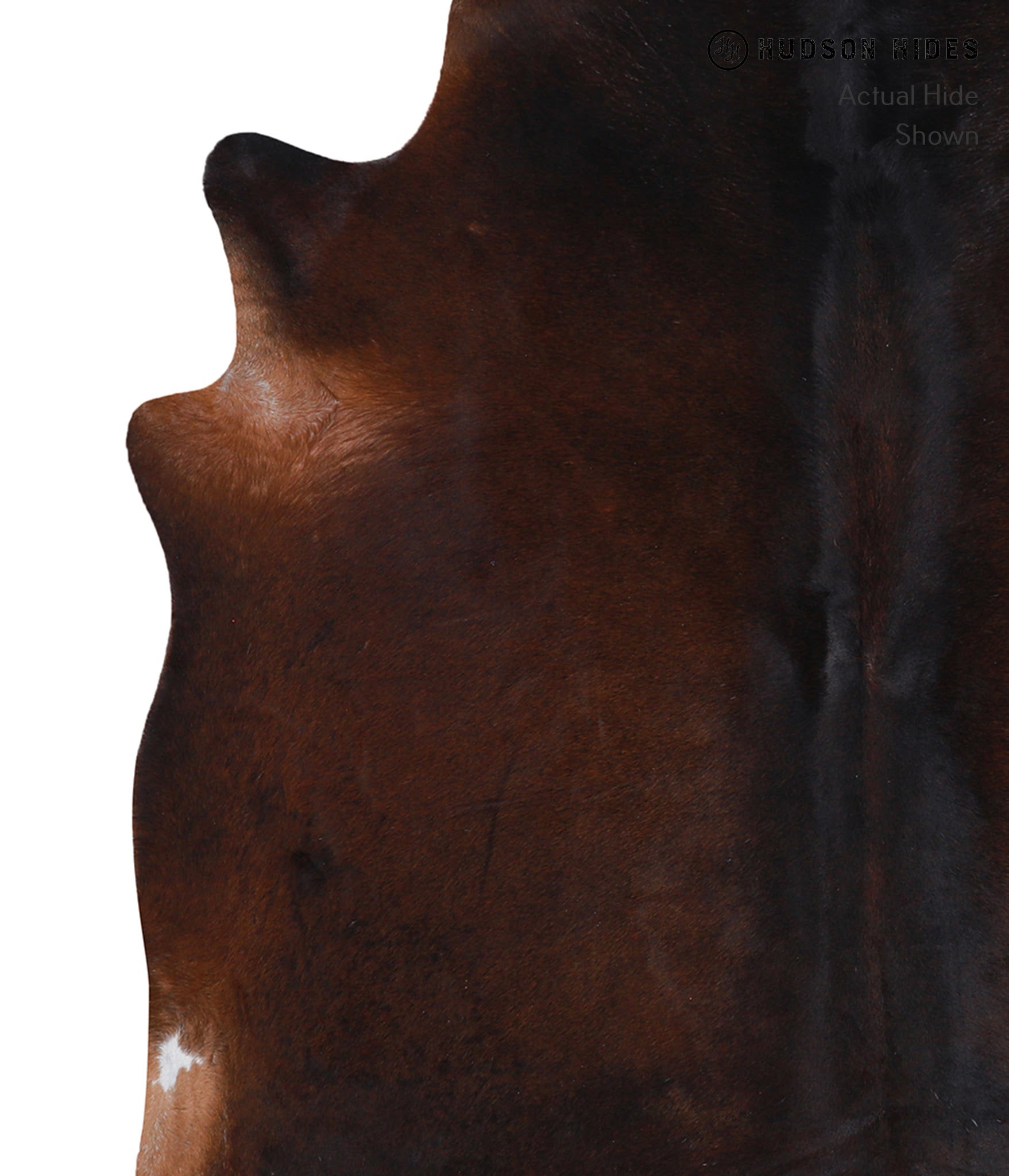 Chocolate Cowhide Rug #A7701