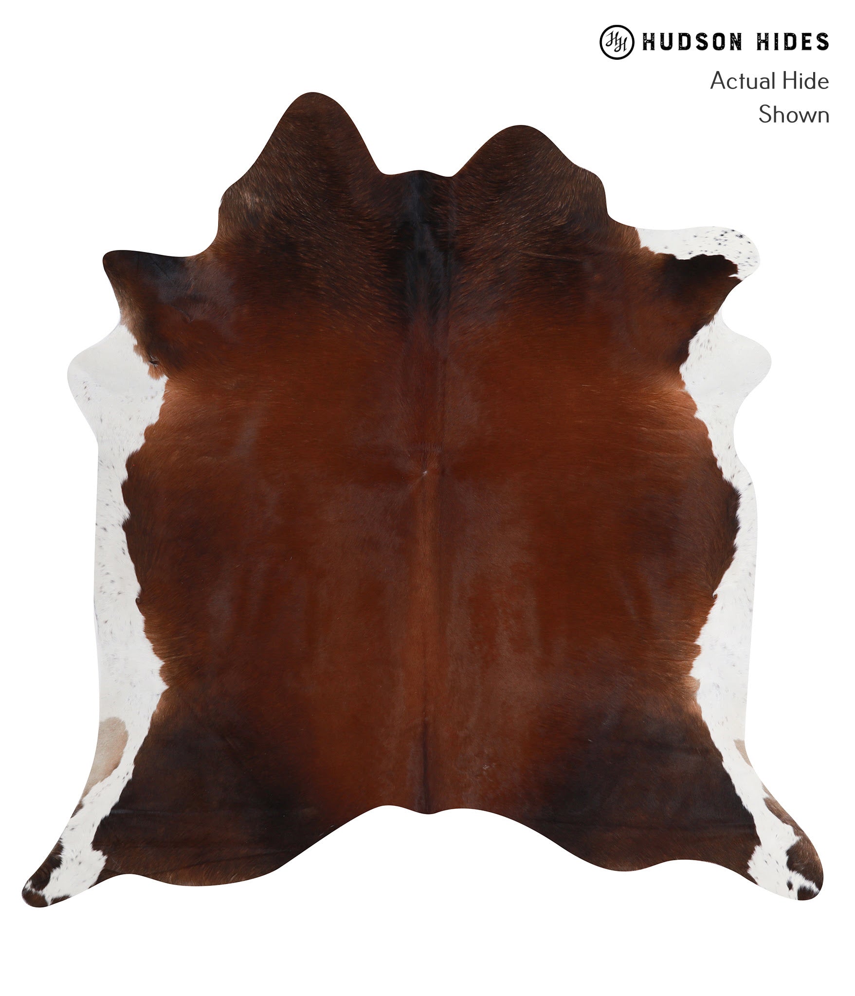 Brown with Red Cowhide Rug #A7738